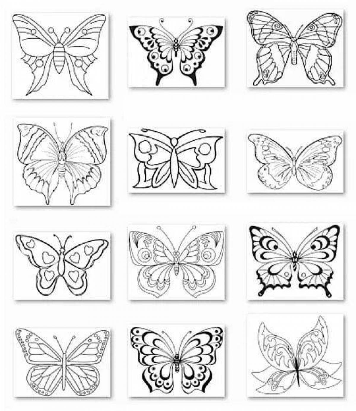 Exotic many butterflies on one sheet