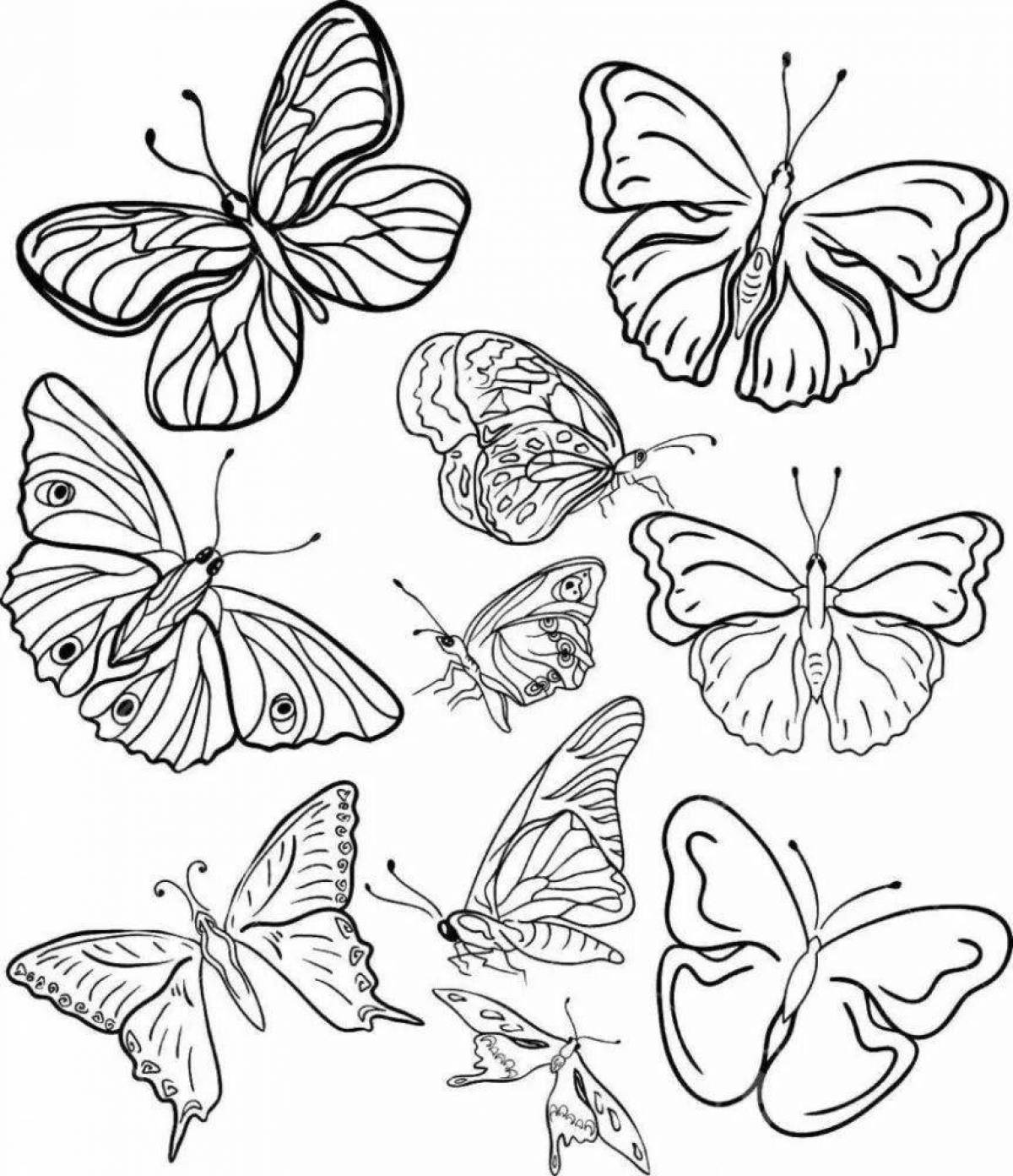 Many colorful butterflies on one sheet