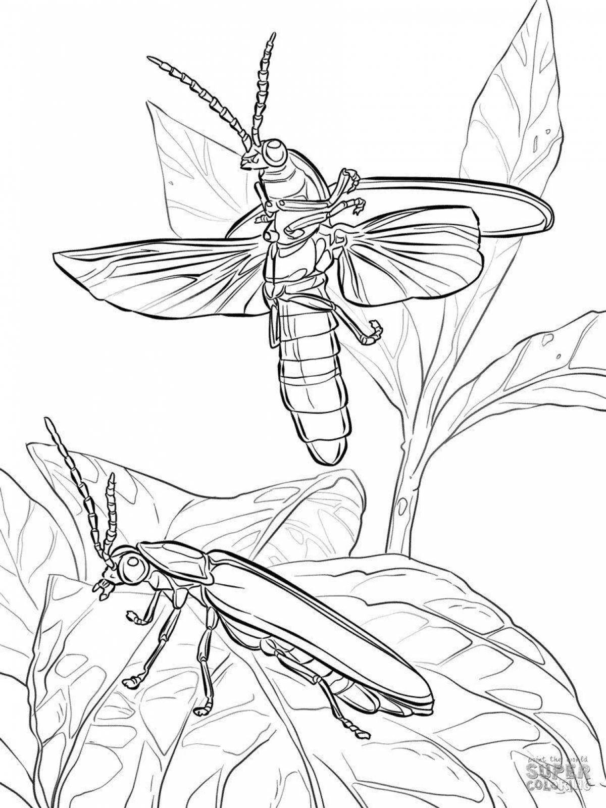 Coloring book cheerful firefly