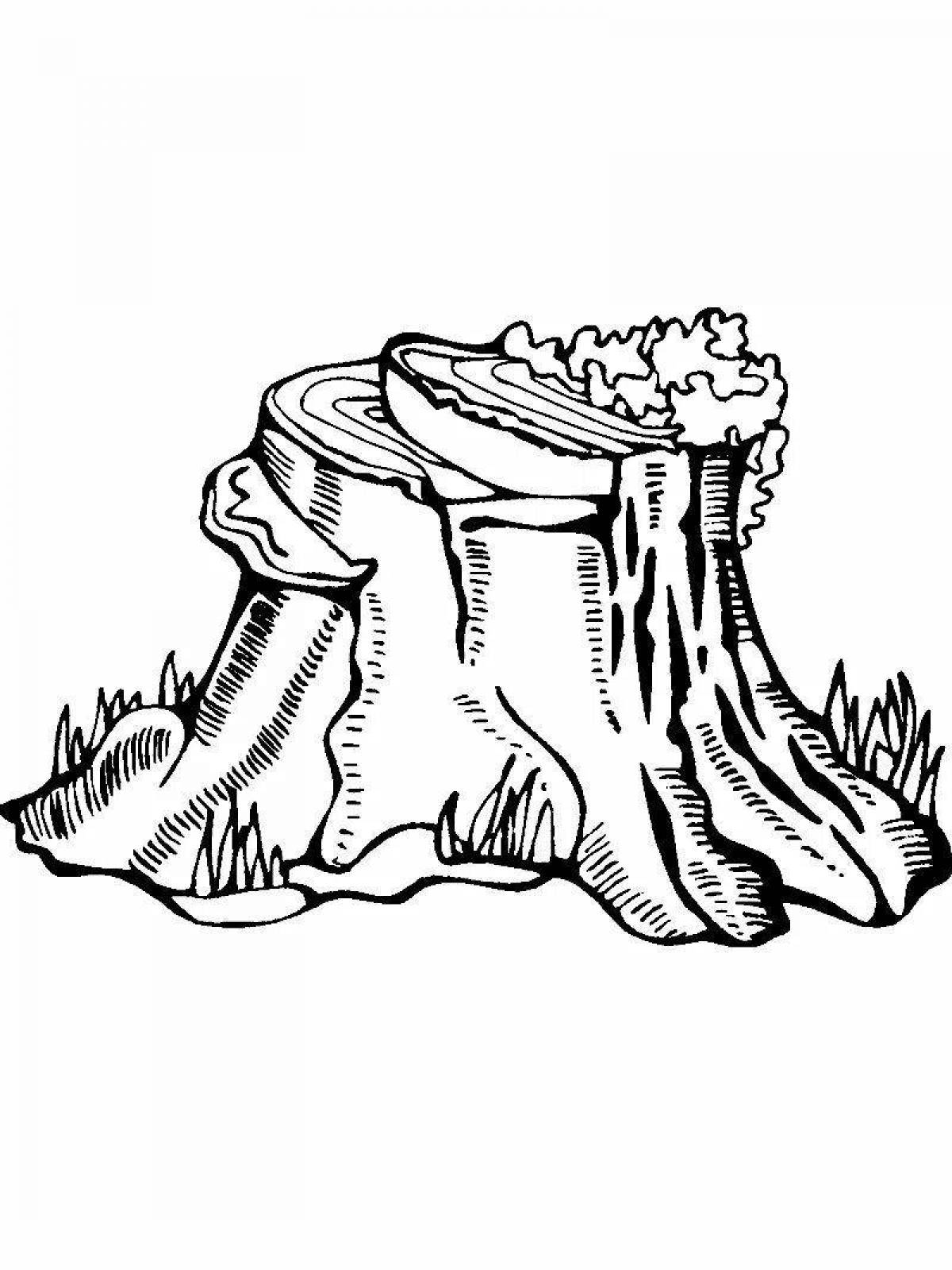 Deluxe moss coloring book