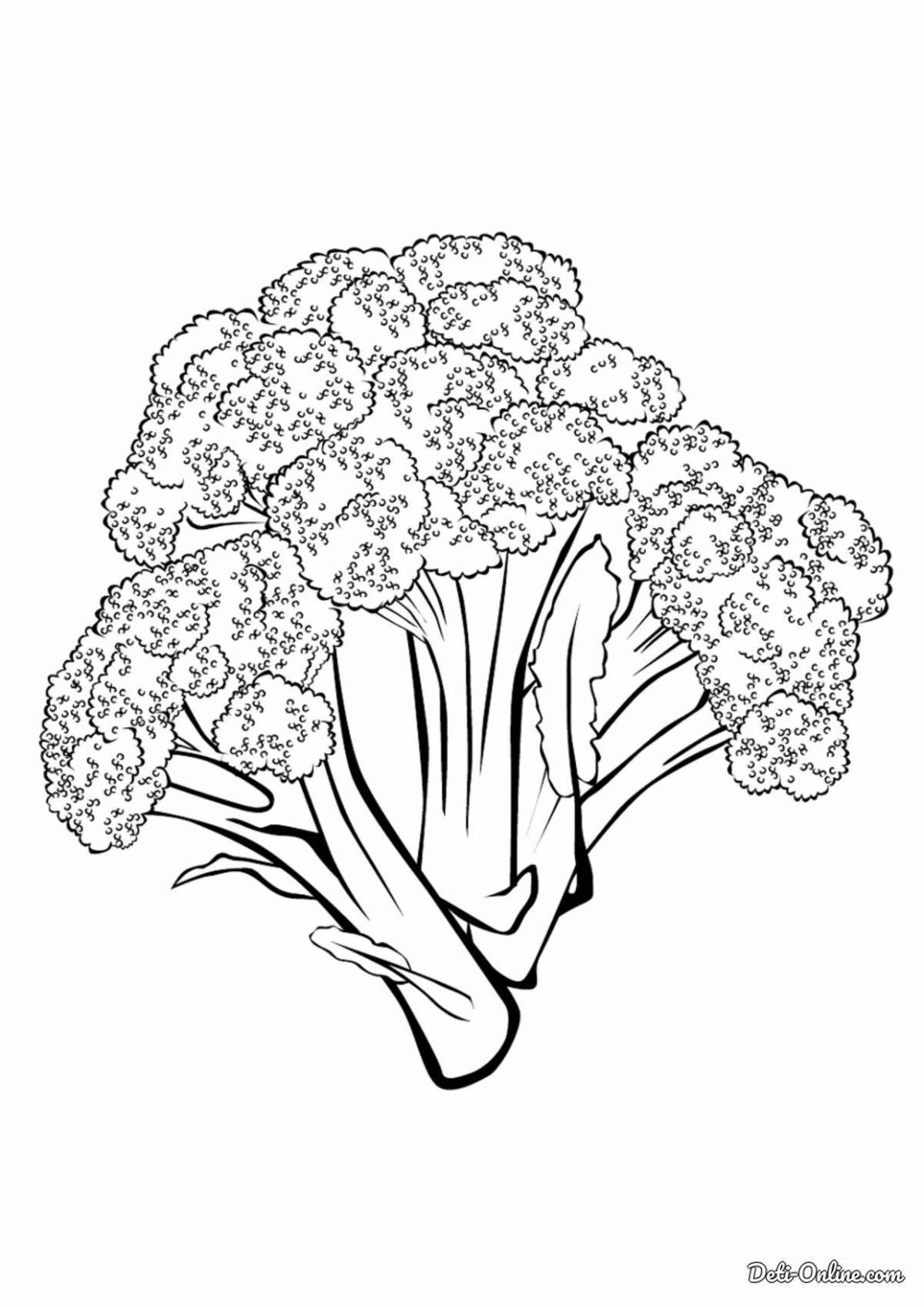 Fun broccoli coloring book