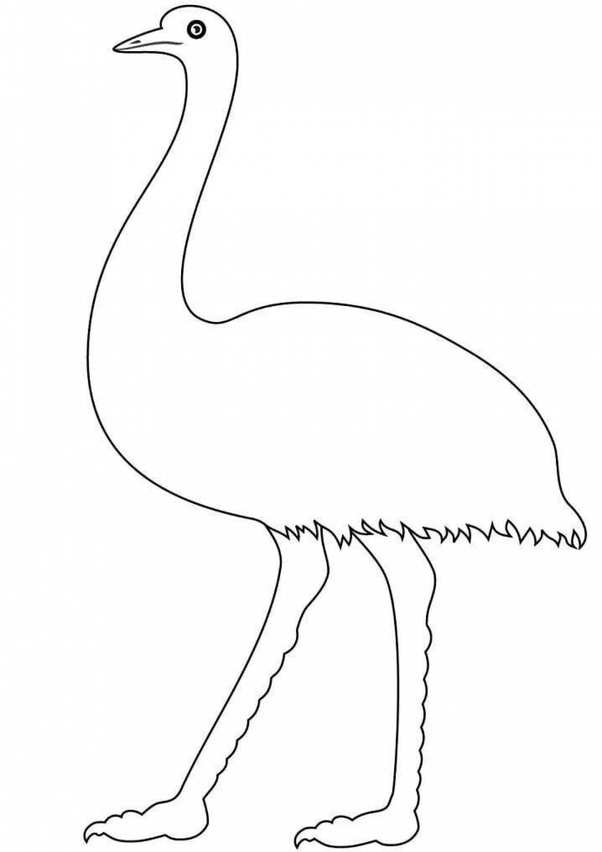 Шаблон страуса для рисования