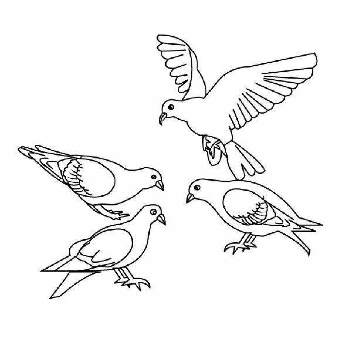 Нарисованные Птицы