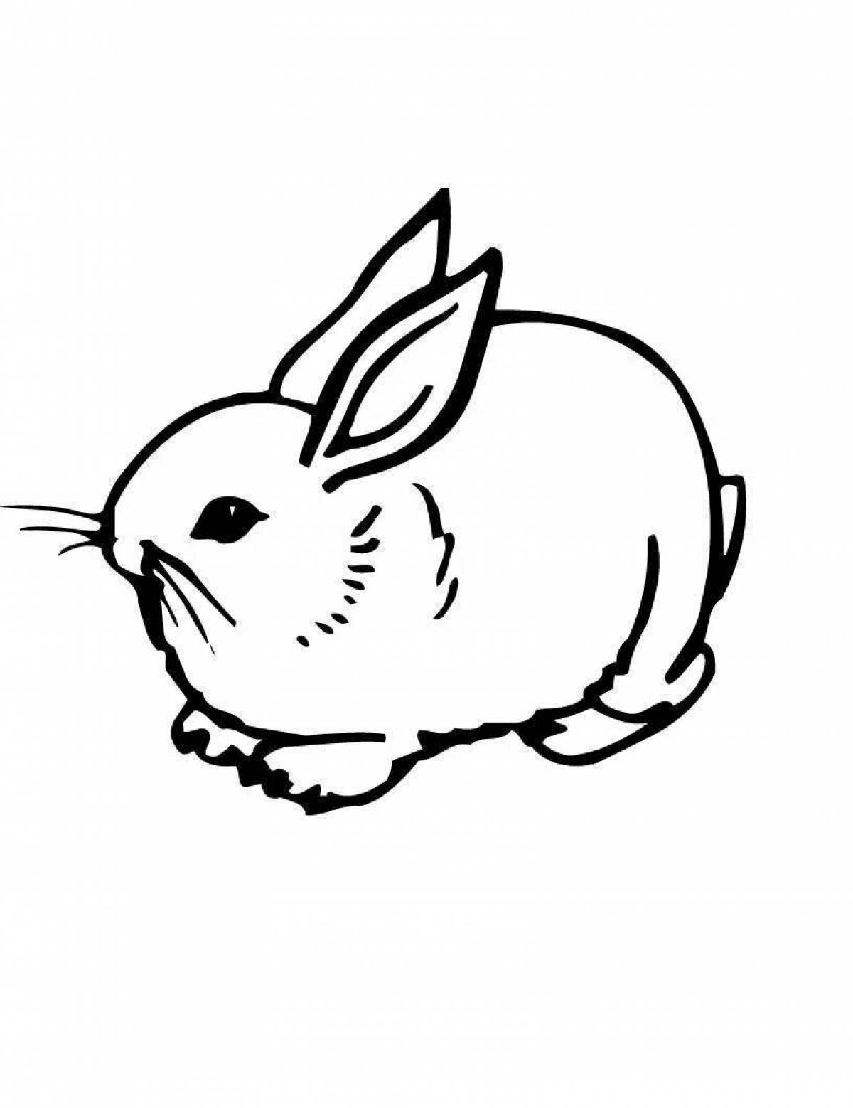 Coloring book inquisitive rabbit