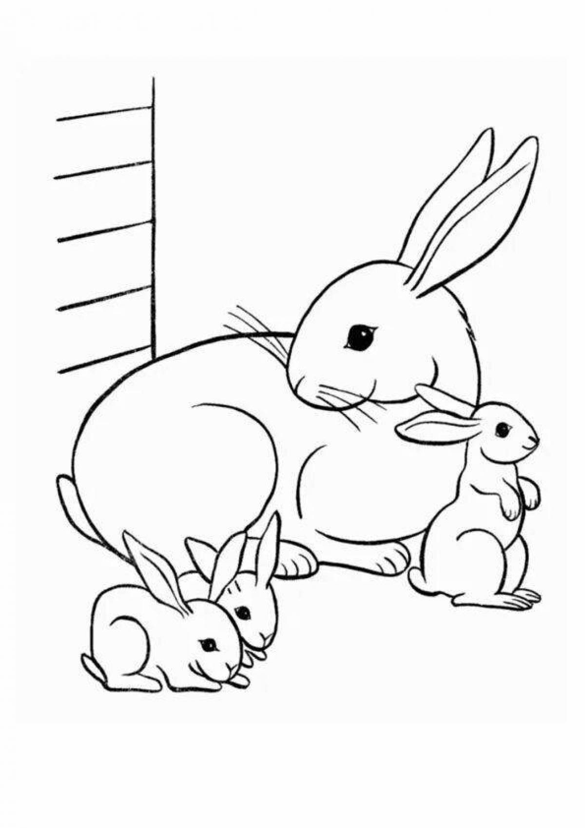 Coloring floppy rabbit