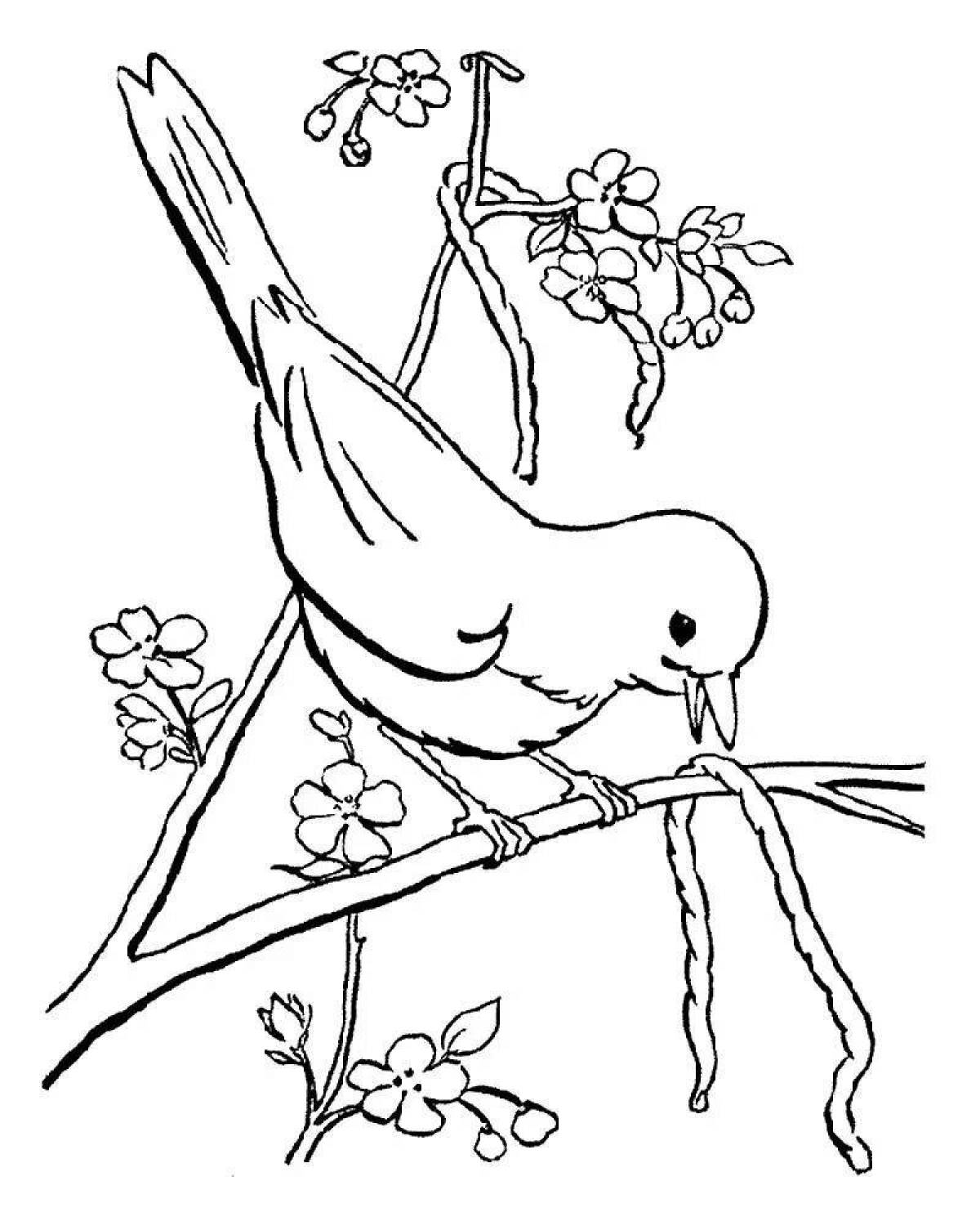 Charming bird on a branch