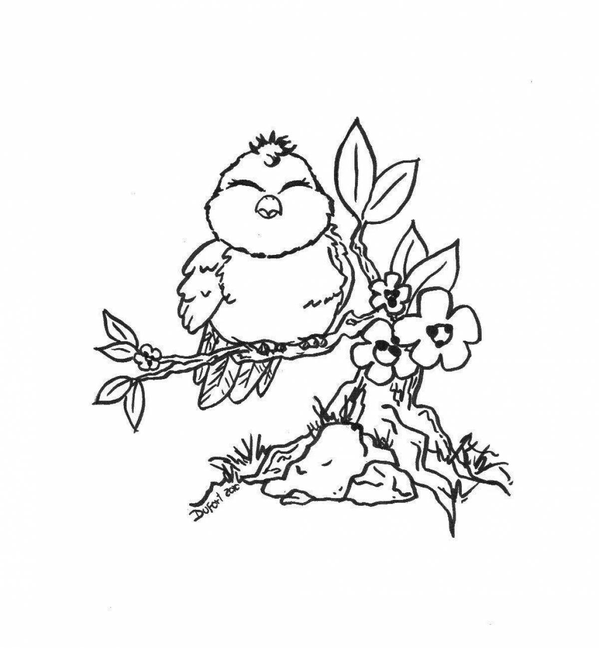 Fluffy bird on a branch