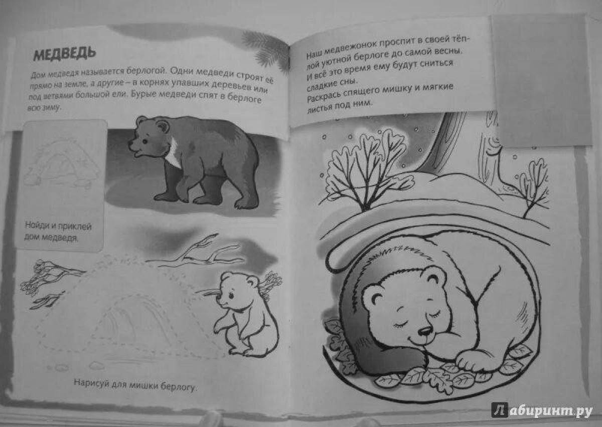 Coloring page cozy bear in the den