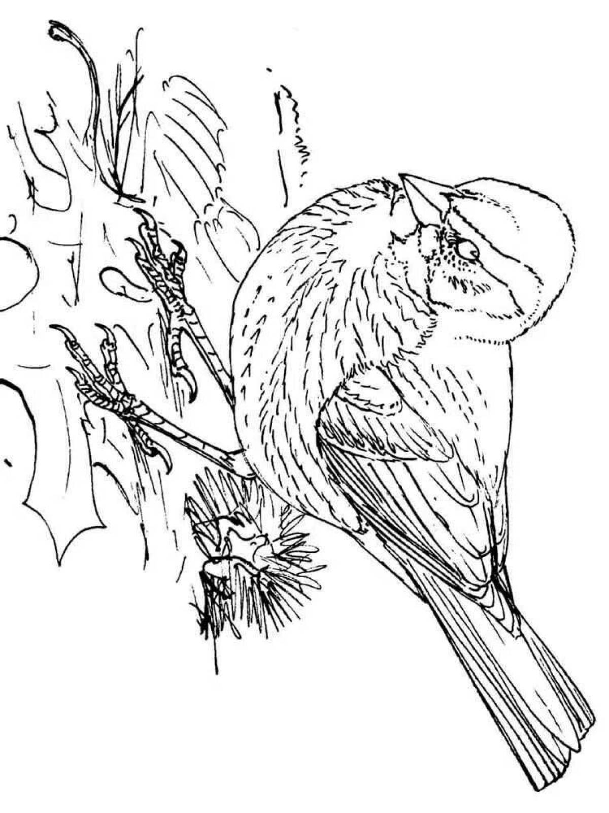 Charming disheveled Paustovsky sparrow