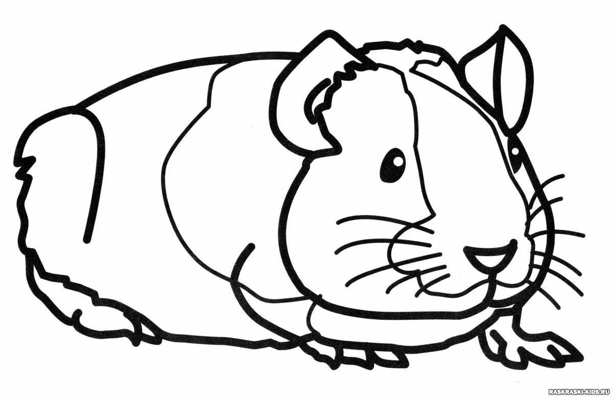 Adorable hamster coloring book