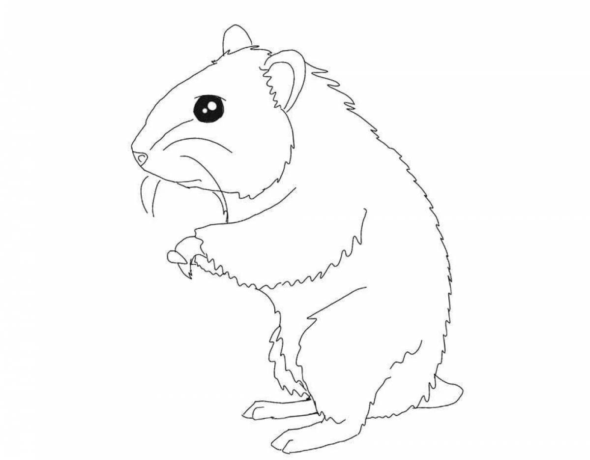 Coloring live hamster