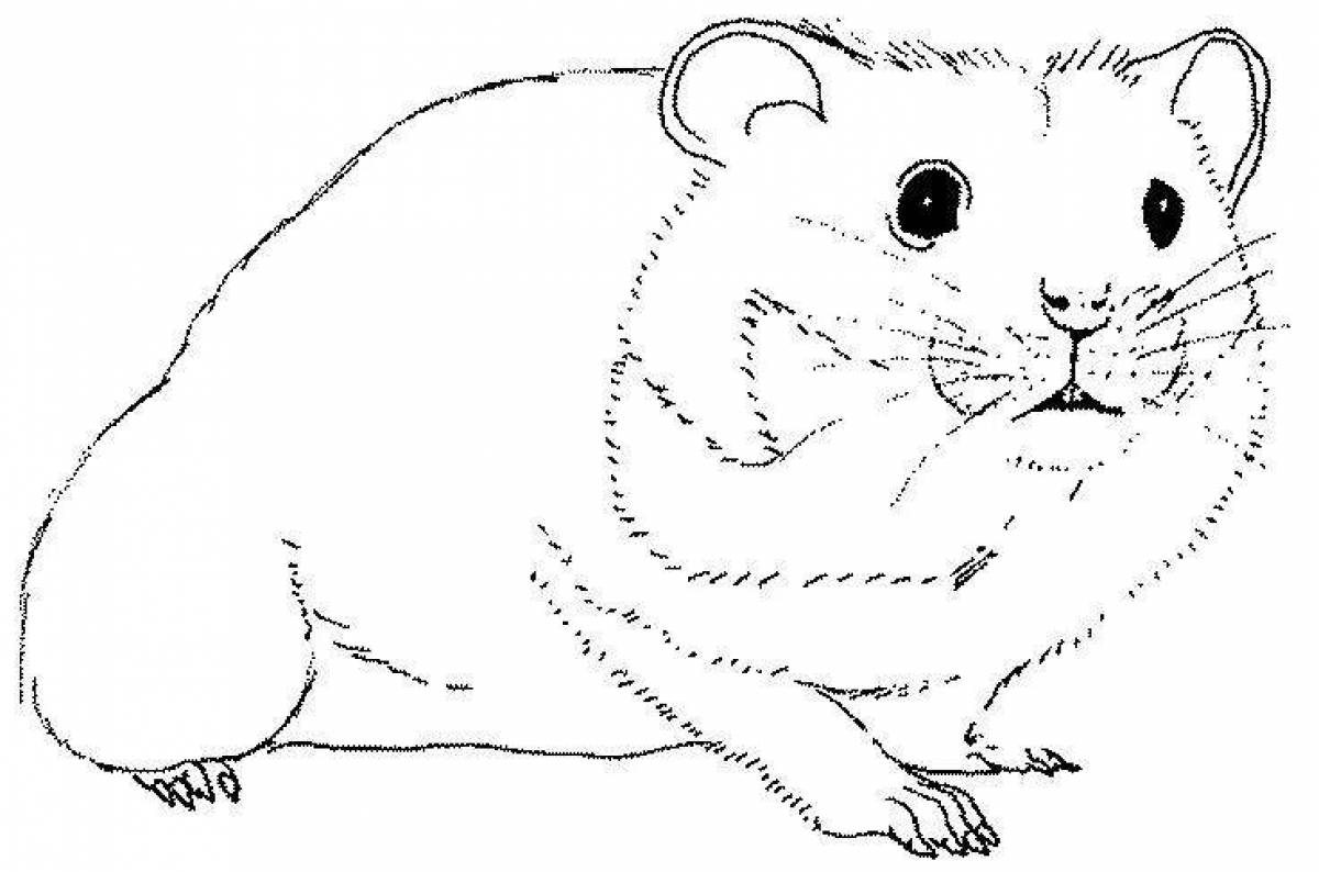 Coloring book busy hamster
