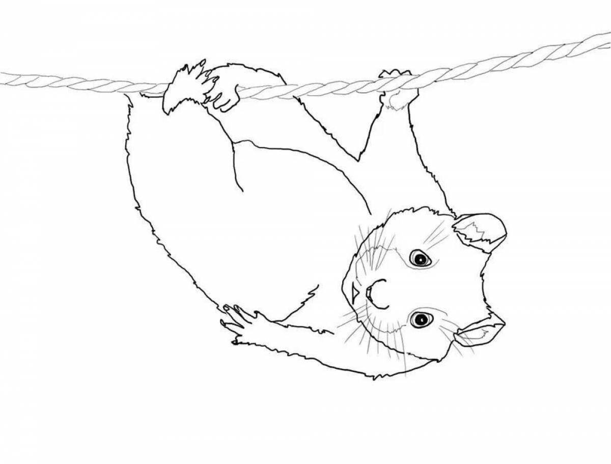 Animated hamster coloring page
