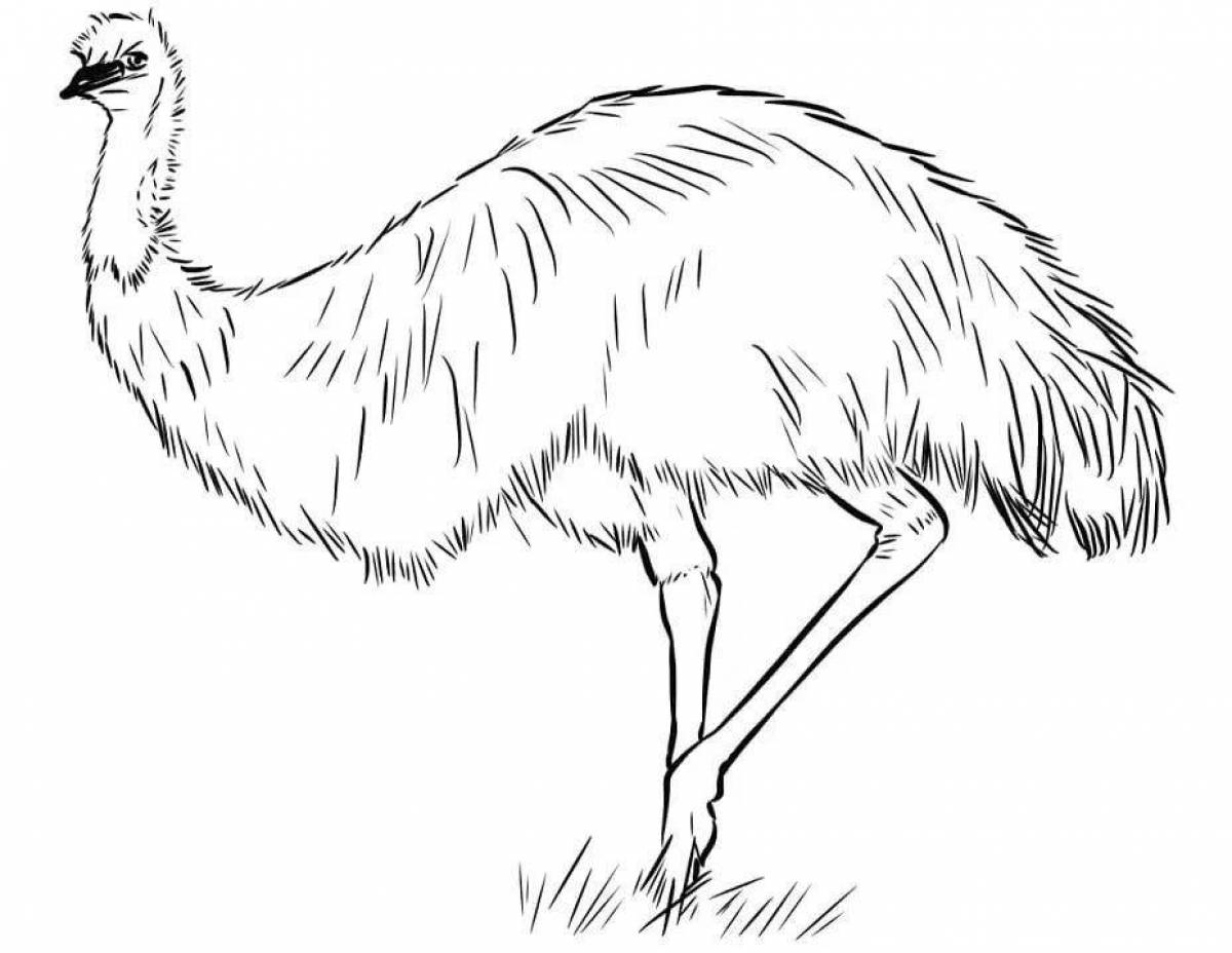 Fun emu coloring book