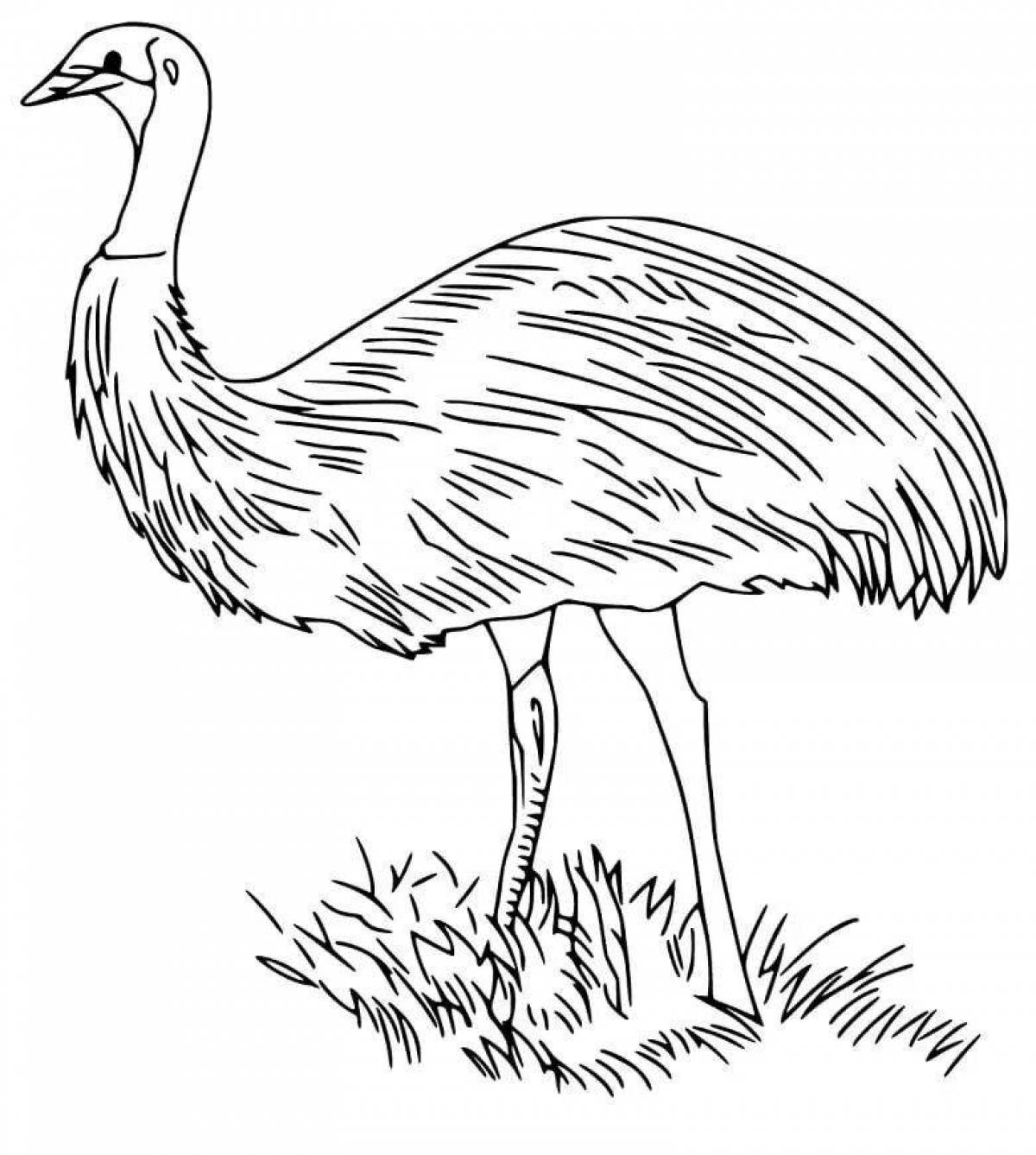 Emu live coloring page