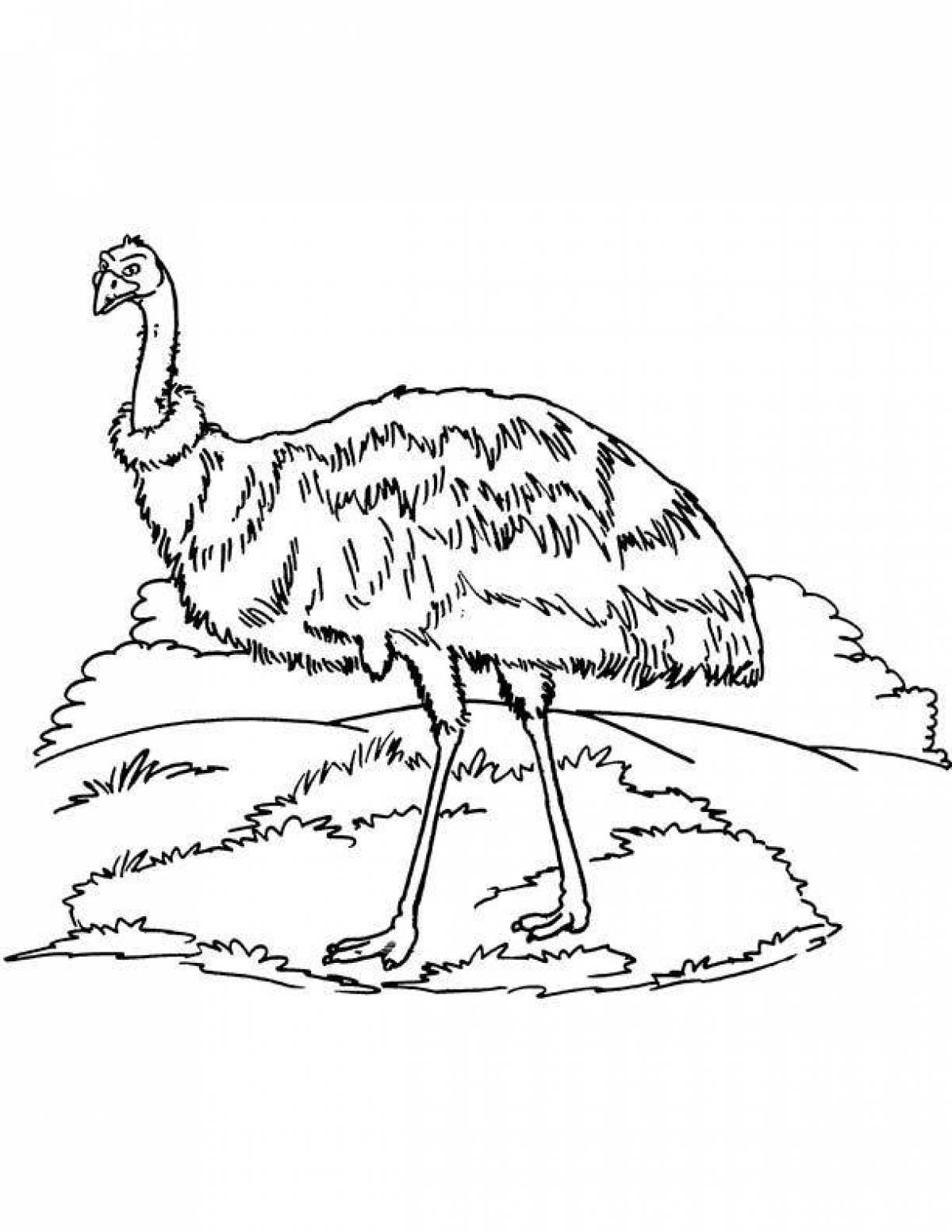 Animated emu coloring page