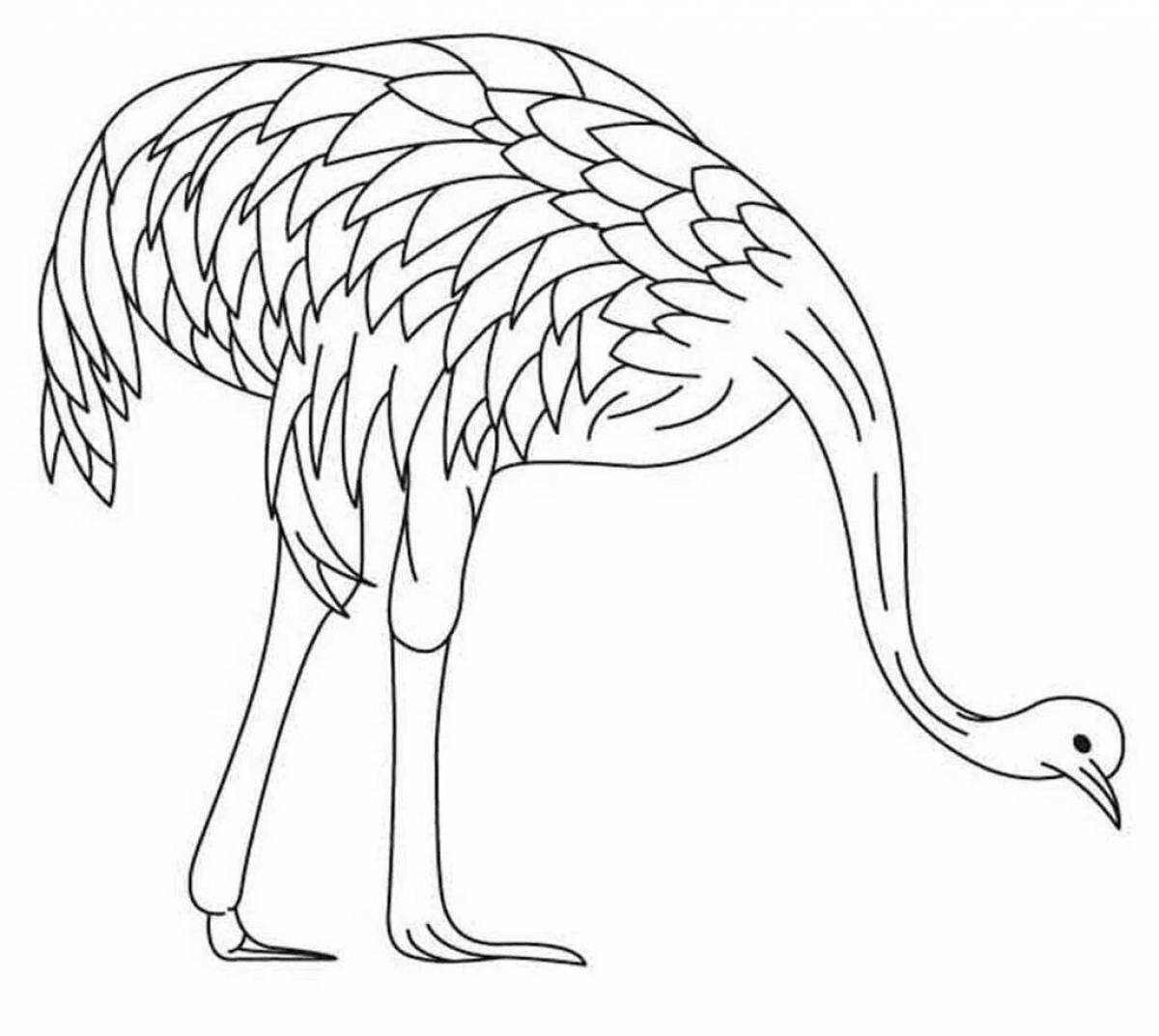 Holiday emu coloring book