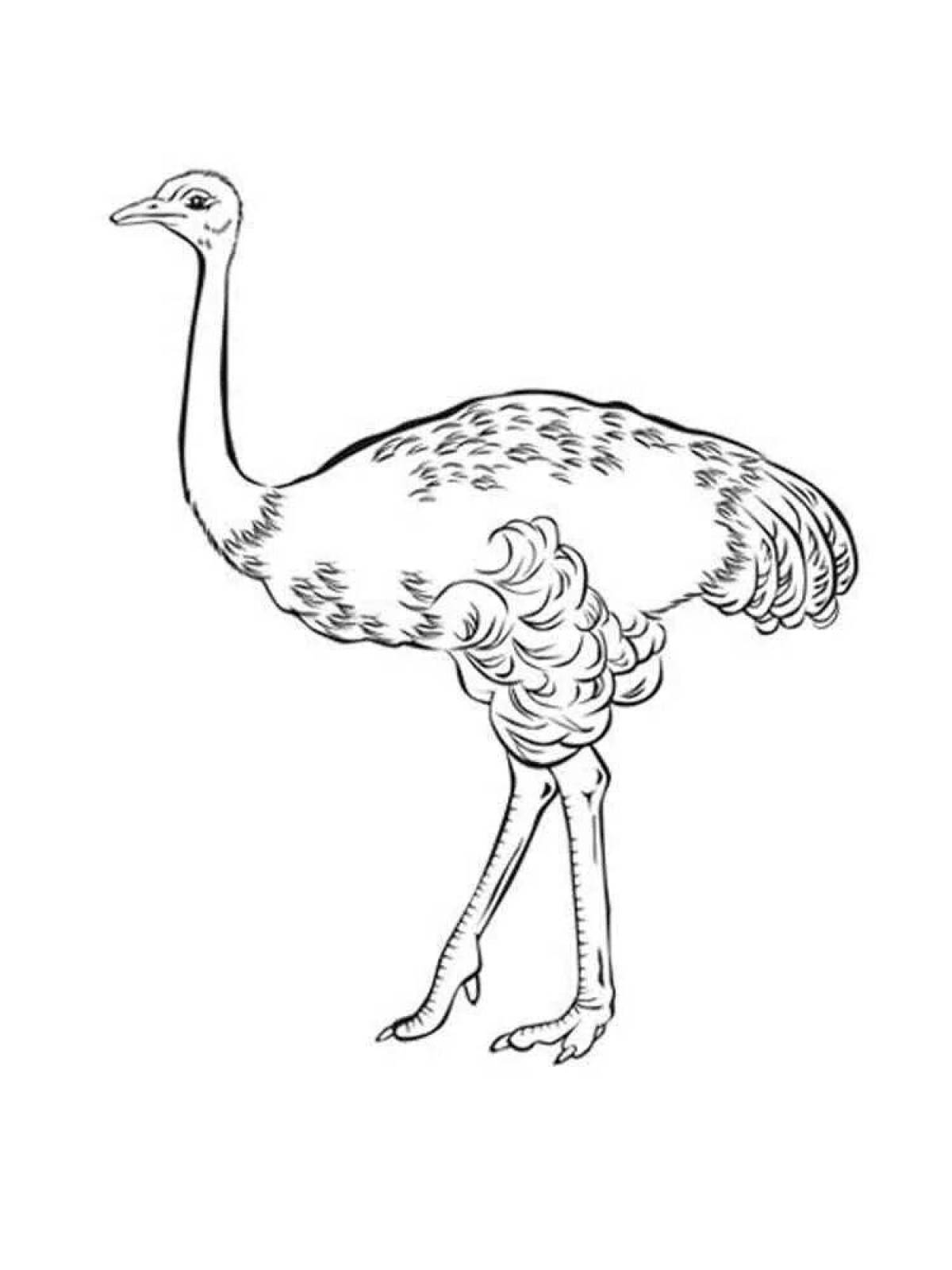 Adorable emu coloring book