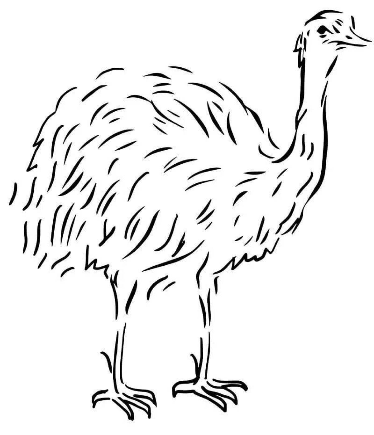 Fascinating emu coloring