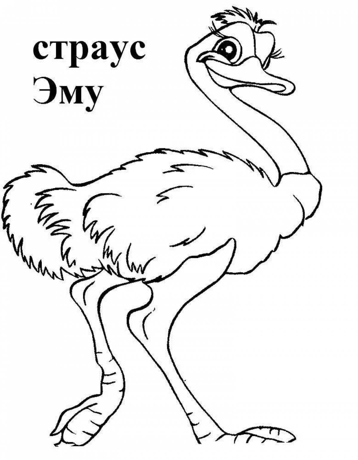 Fun emu coloring book