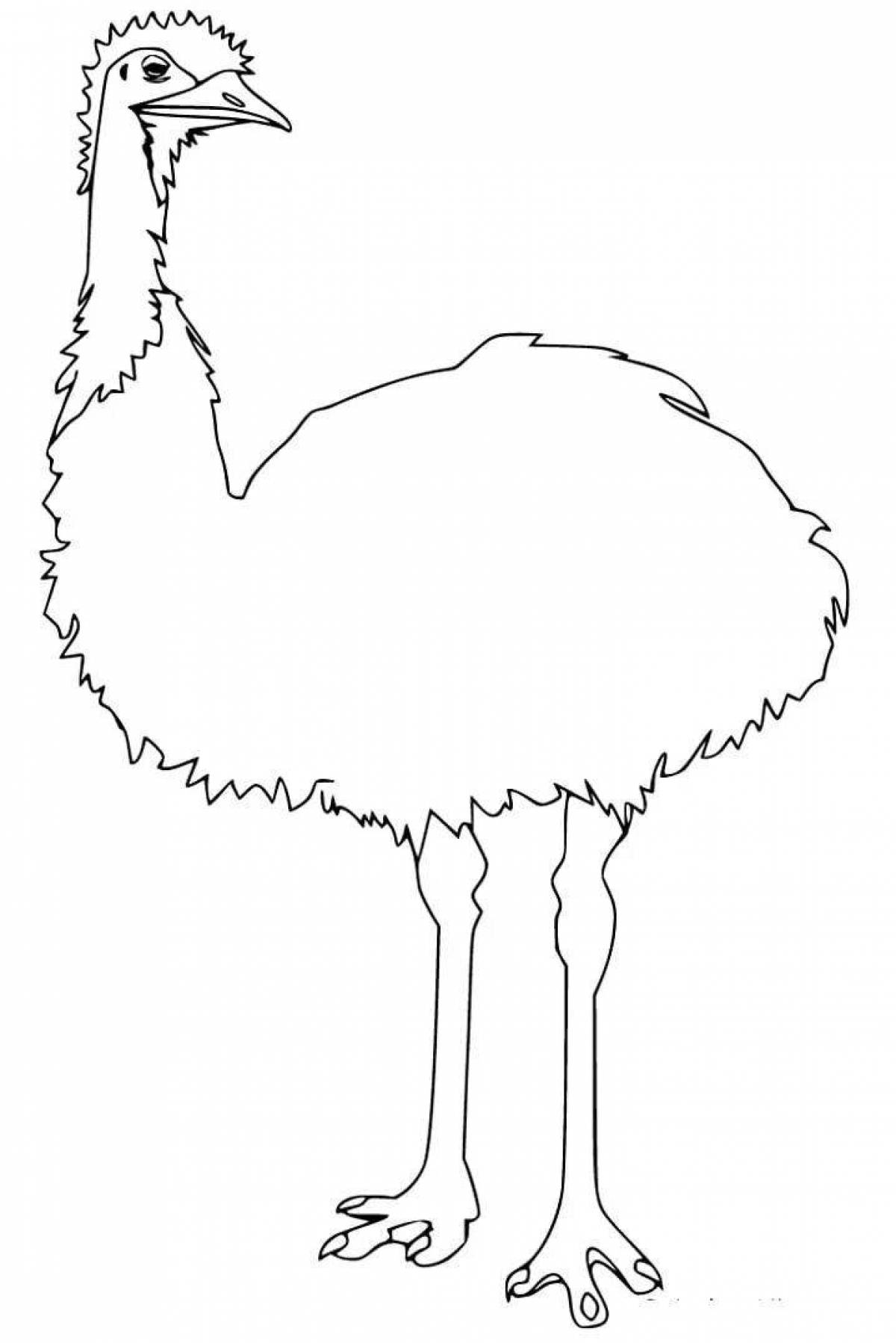 Exciting emu coloring book