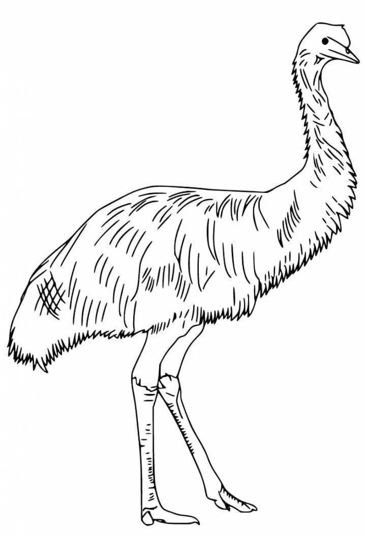 Humorous emu coloring book