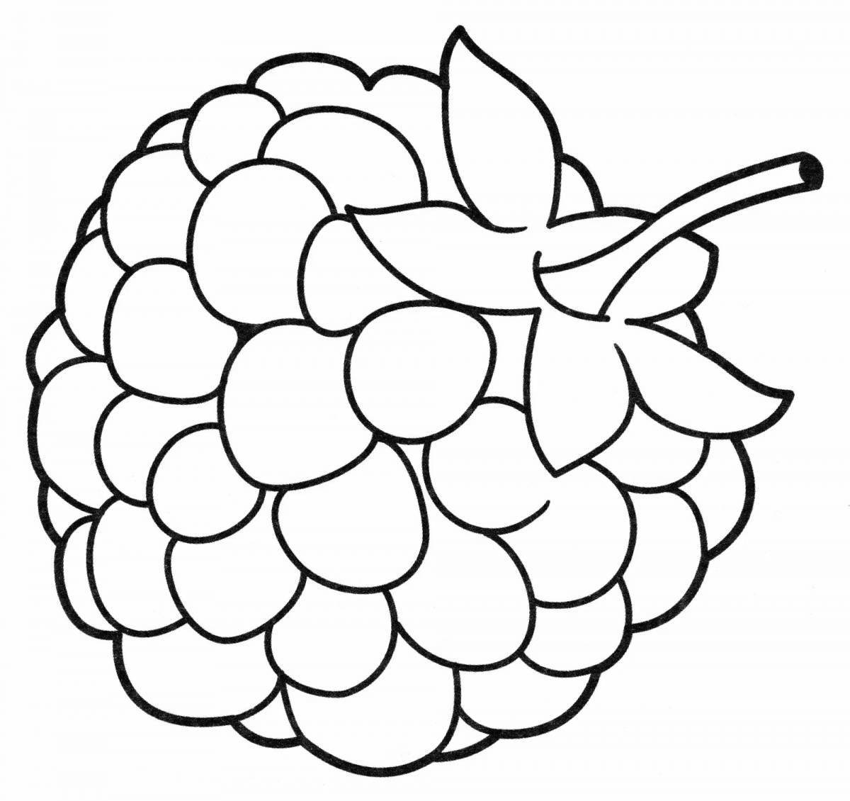 Sweet raspberry coloring page