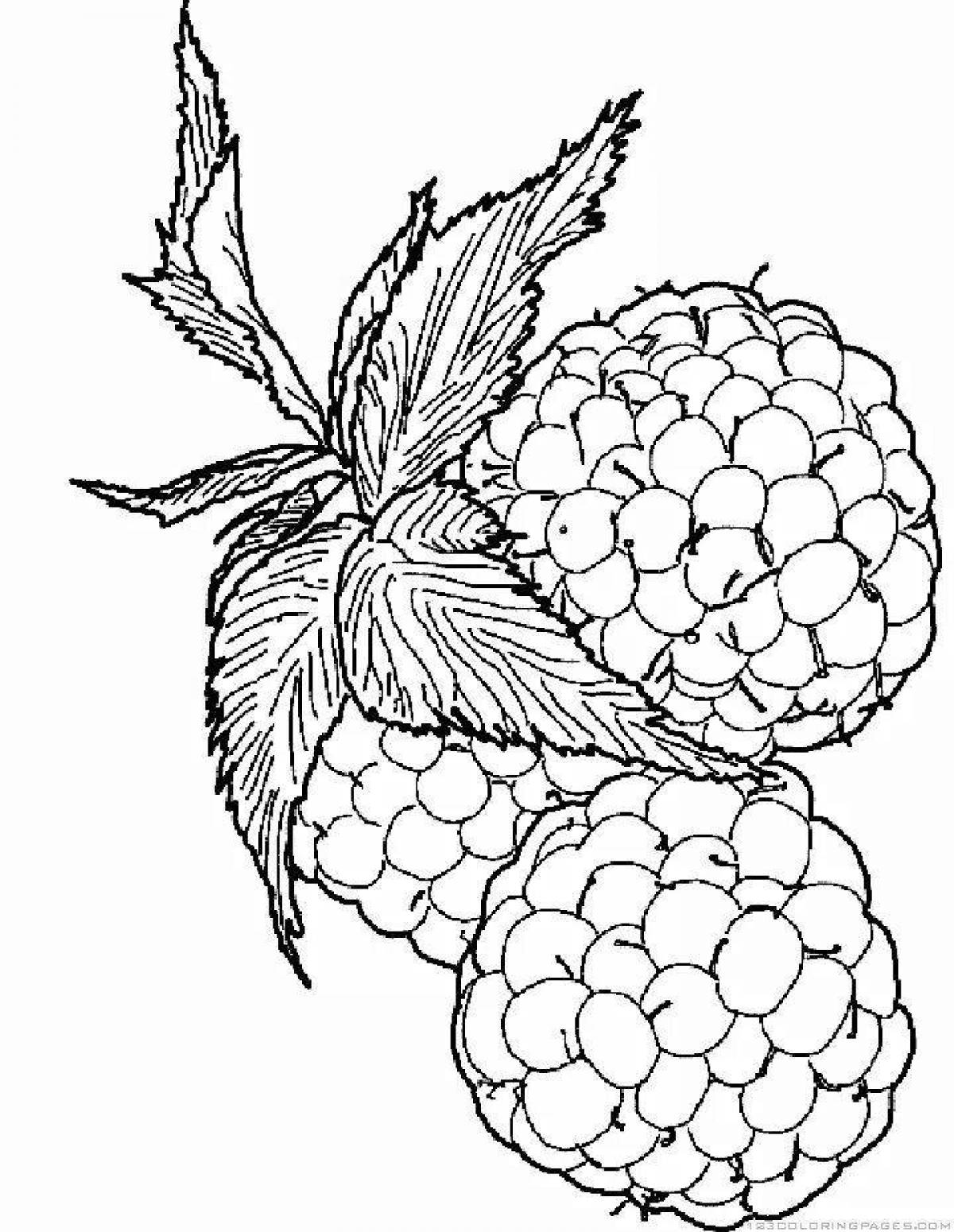 Delicious raspberry coloring page