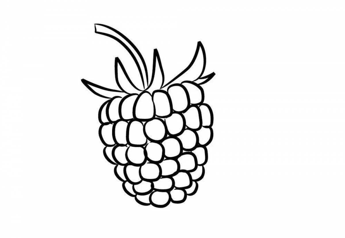 Magic raspberry coloring page