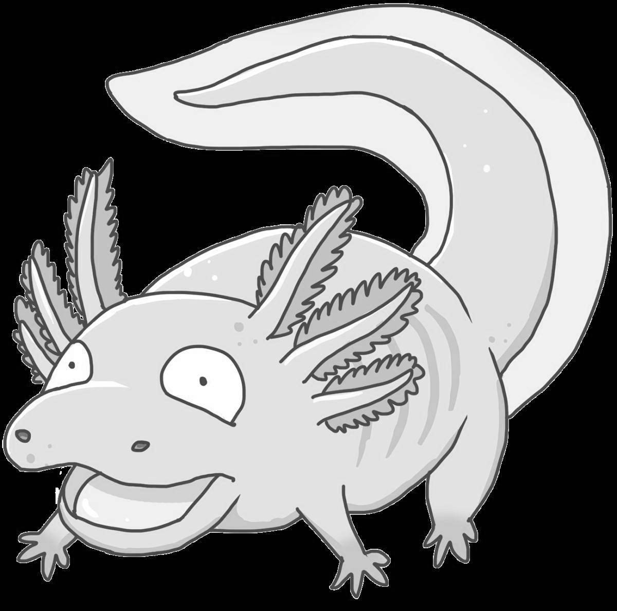 Attractive axelot coloring page