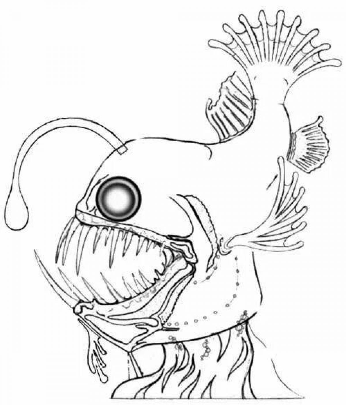 Attractive angler coloring page