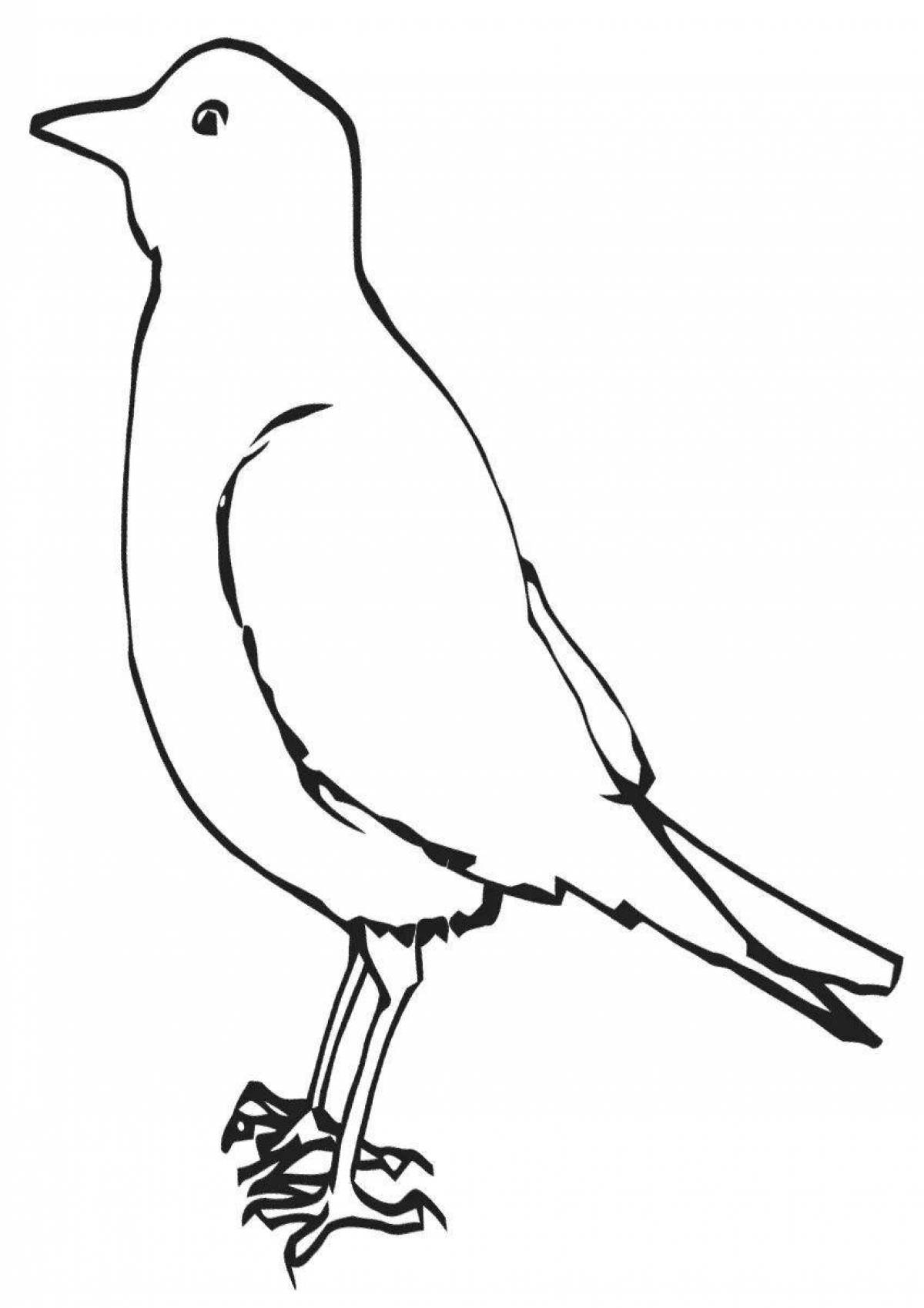 Awesome jackdaw coloring page
