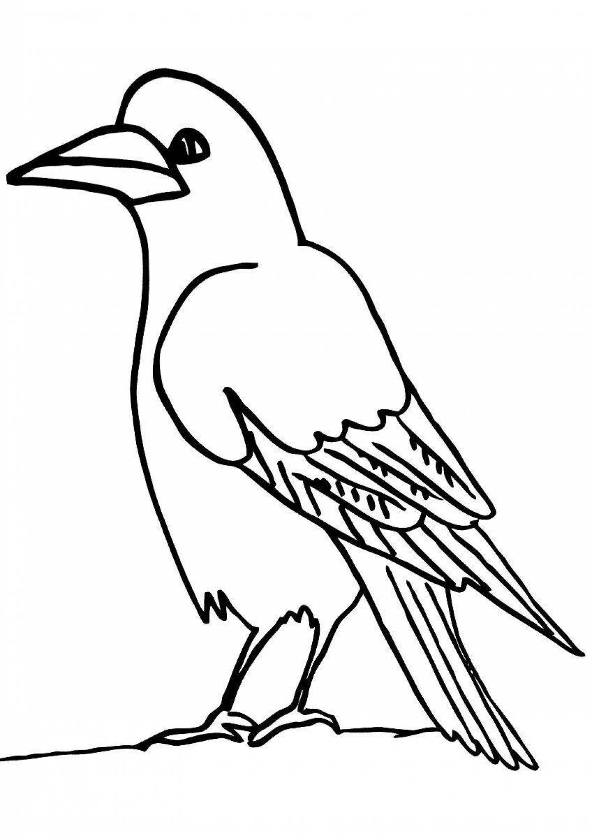 Amazing jackdaw coloring page