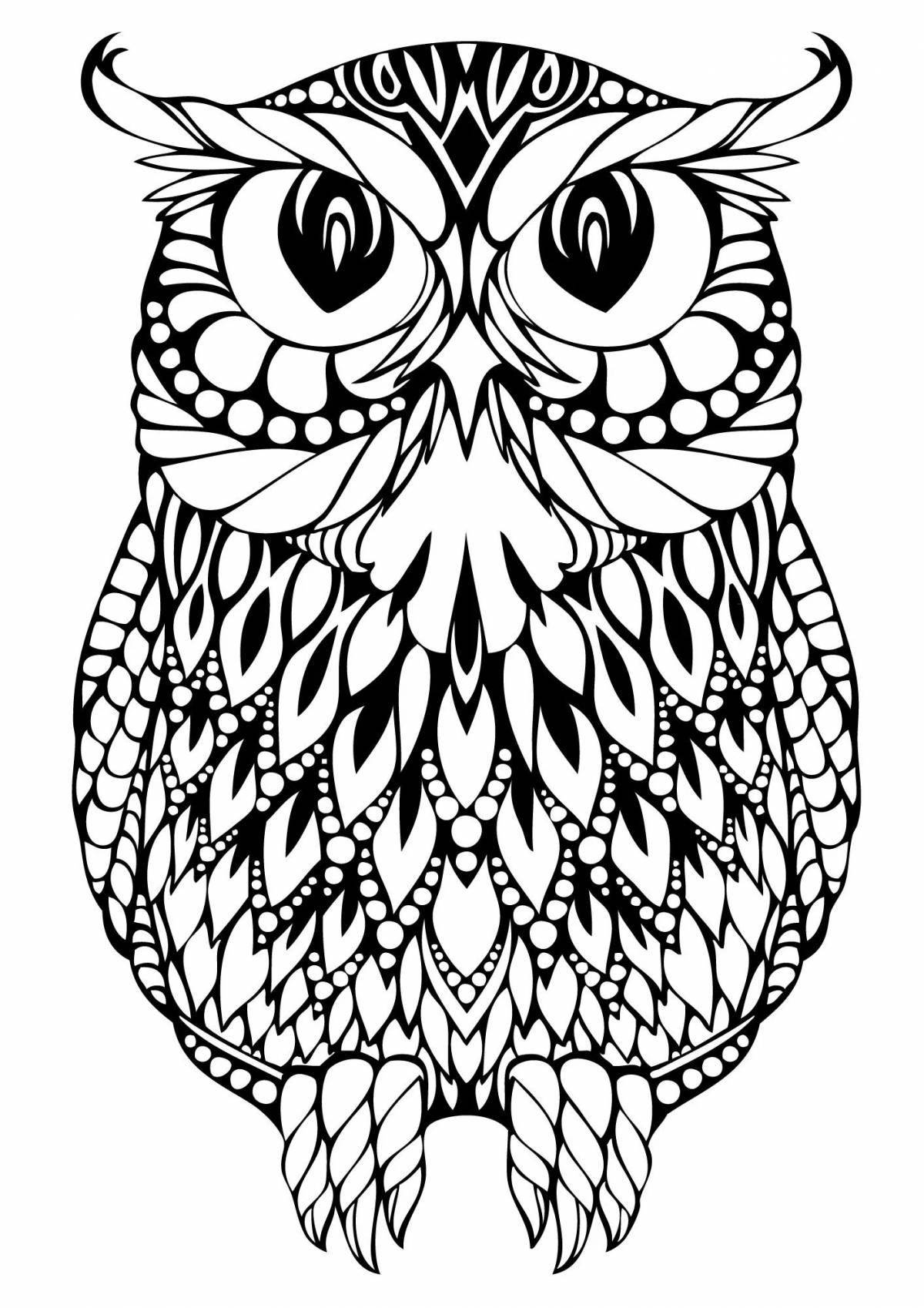 Exquisite coloring drawing of an owl