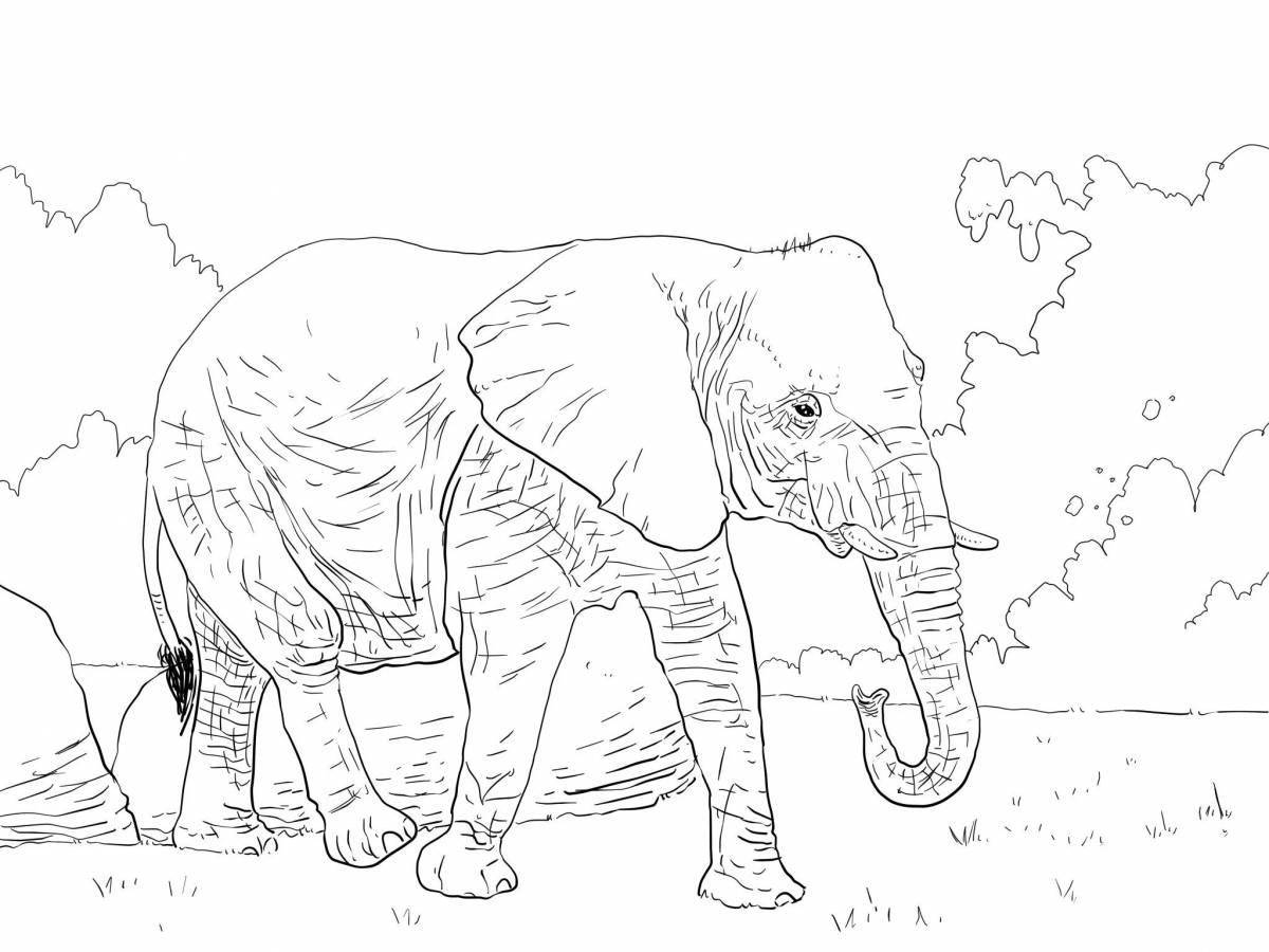 Яркая страница раскраски африканского слона