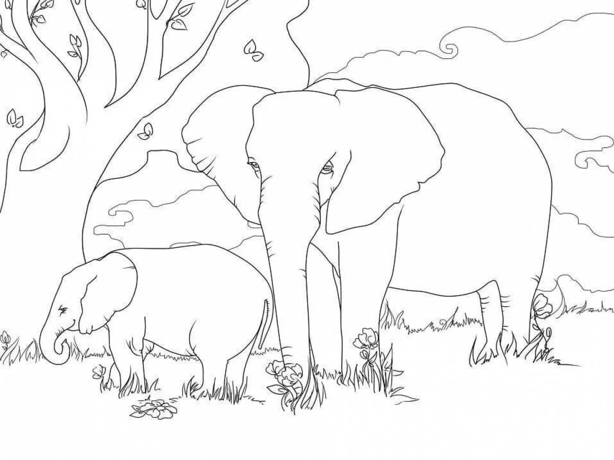 Раскраска большой африканский слон