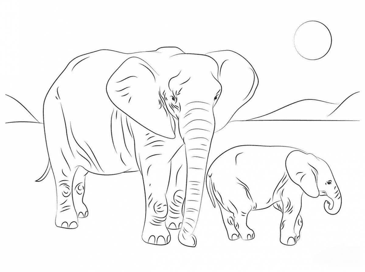 Раскраска сияющий африканский слон
