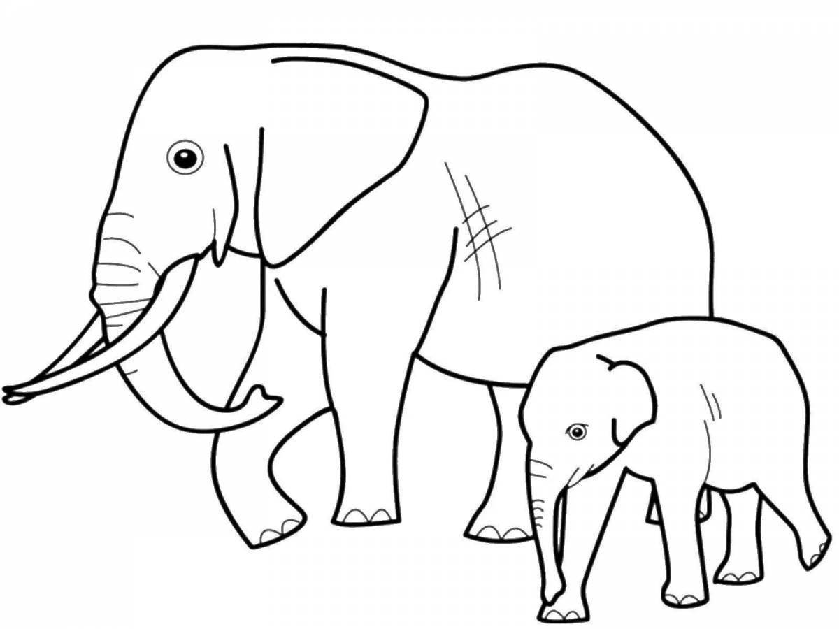 Coloring page elegant african elephant