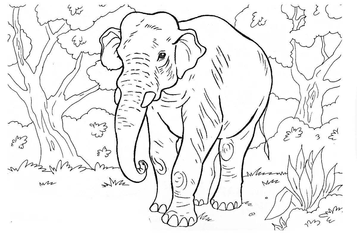 Coloring book noble African elephant