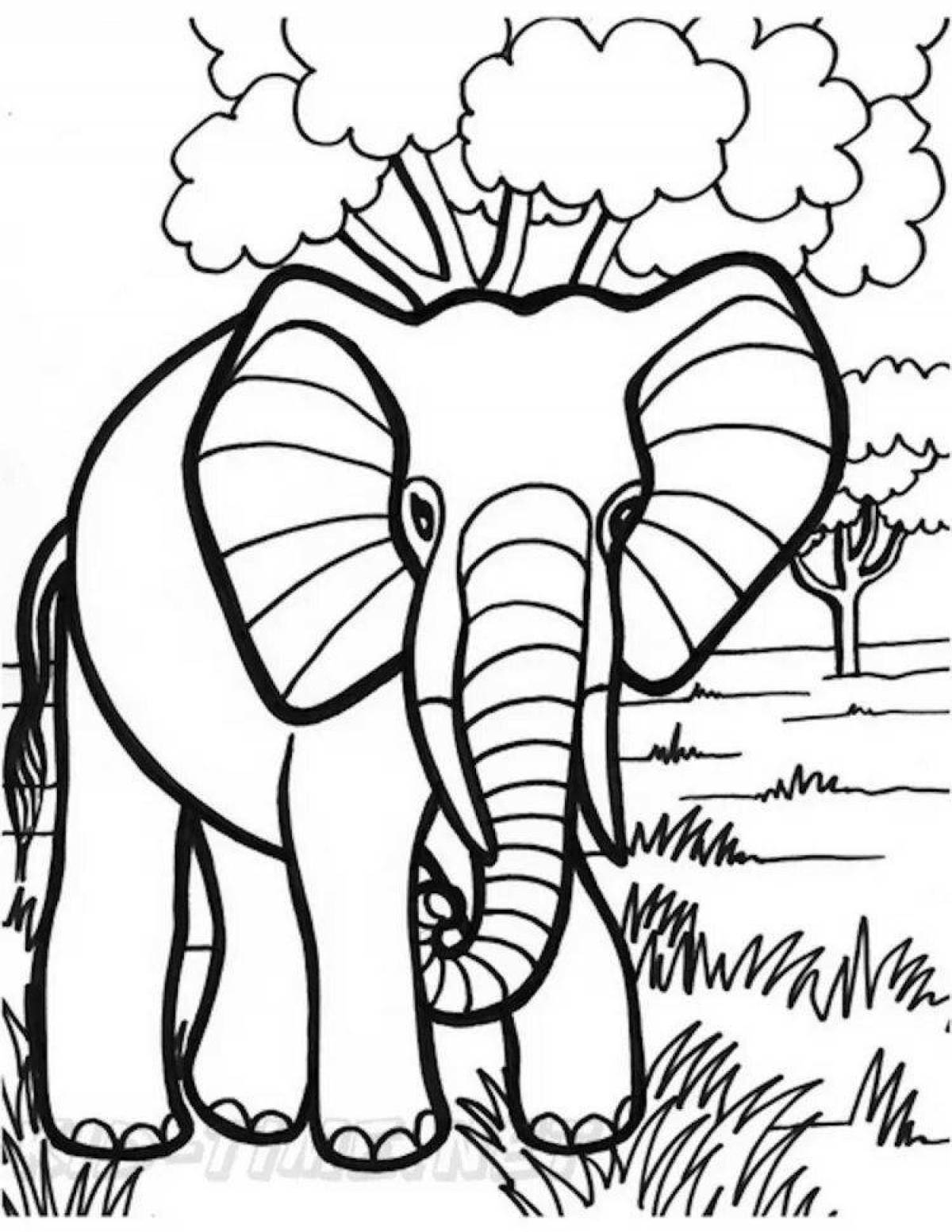 Раскраска грациозный африканский слон