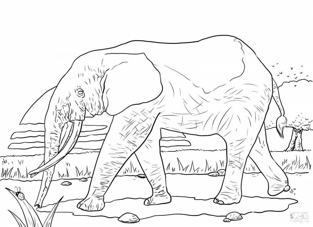Coloring page dazzling African elephant