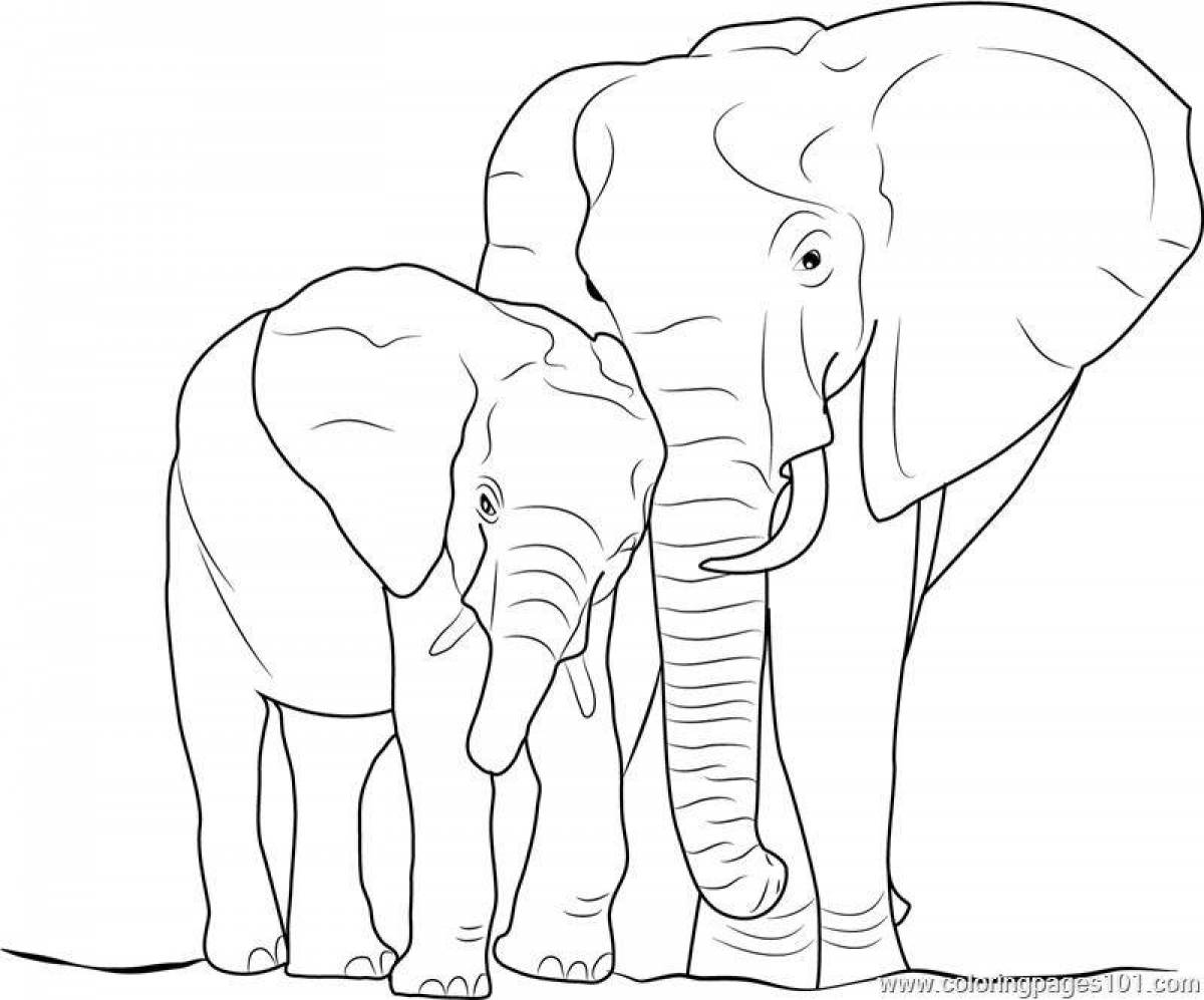 Раскраска буйный африканский слон