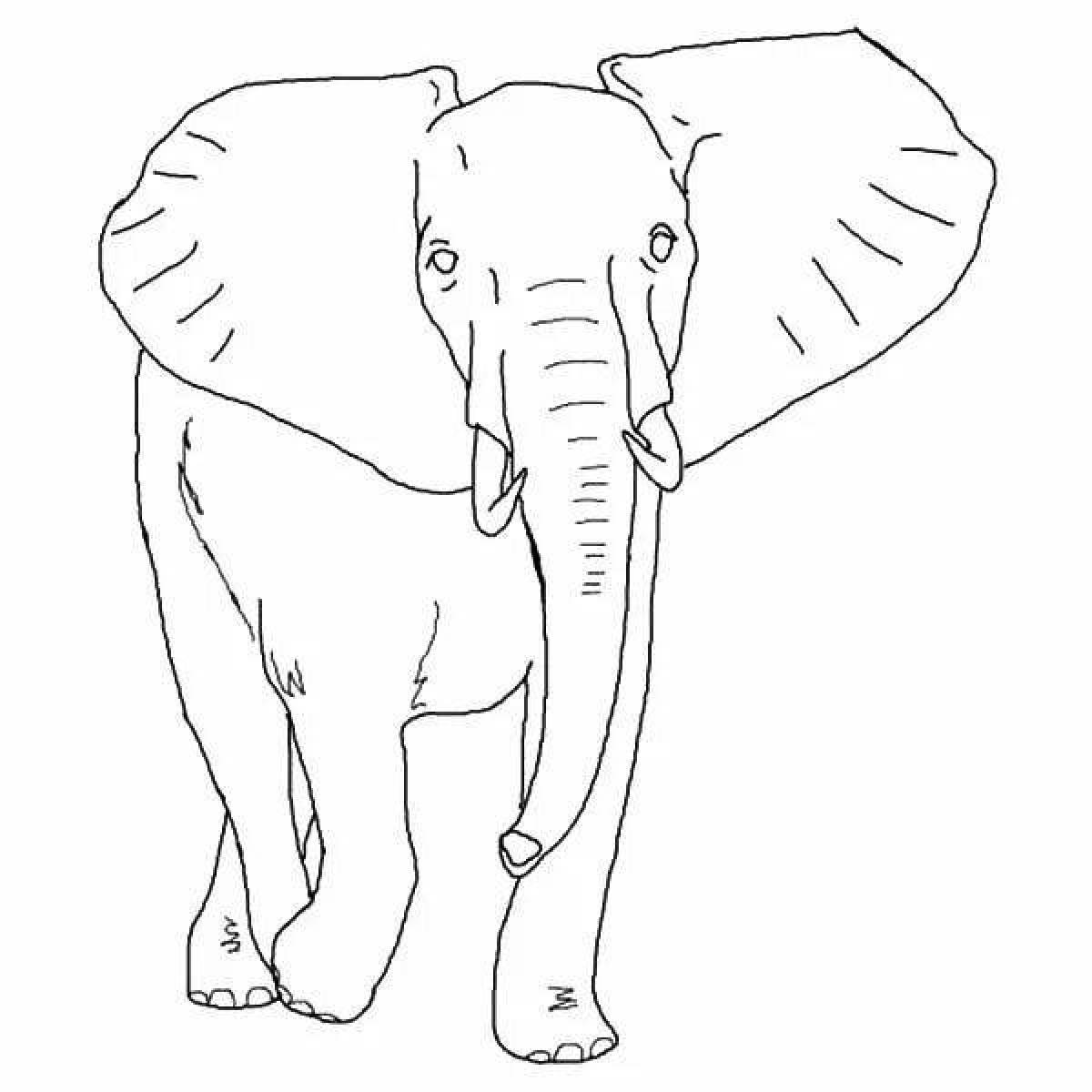 Раскраска роскошный африканский слон