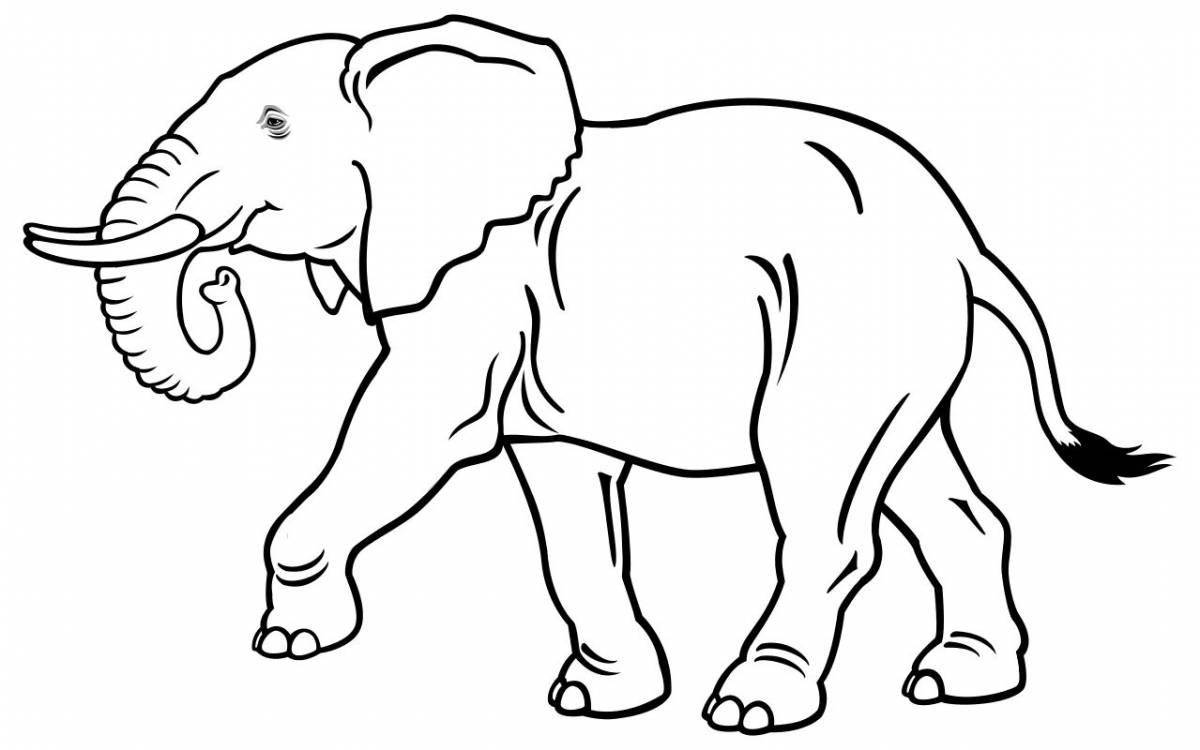 Great African elephant coloring page