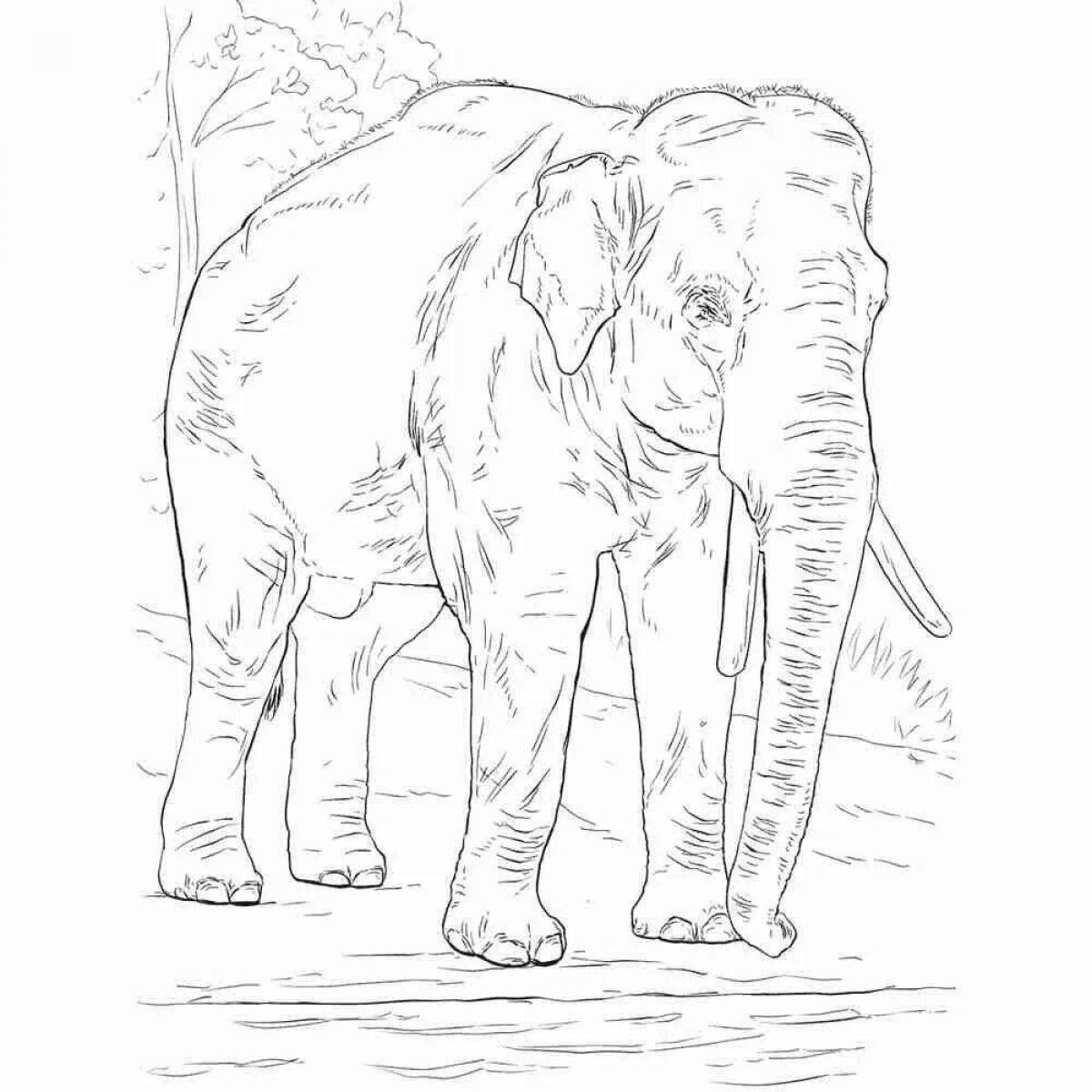 Раскраска великодушный африканский слон
