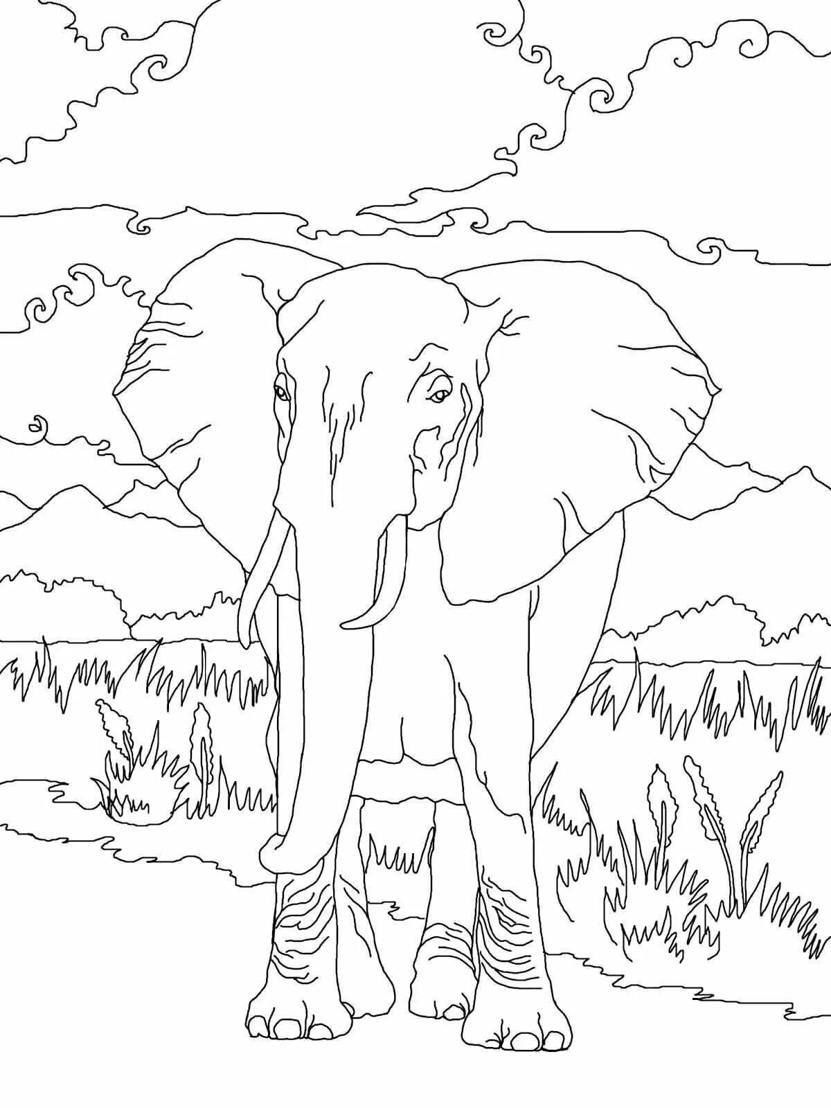 Ярко окрашенная страница раскраски африканского слона