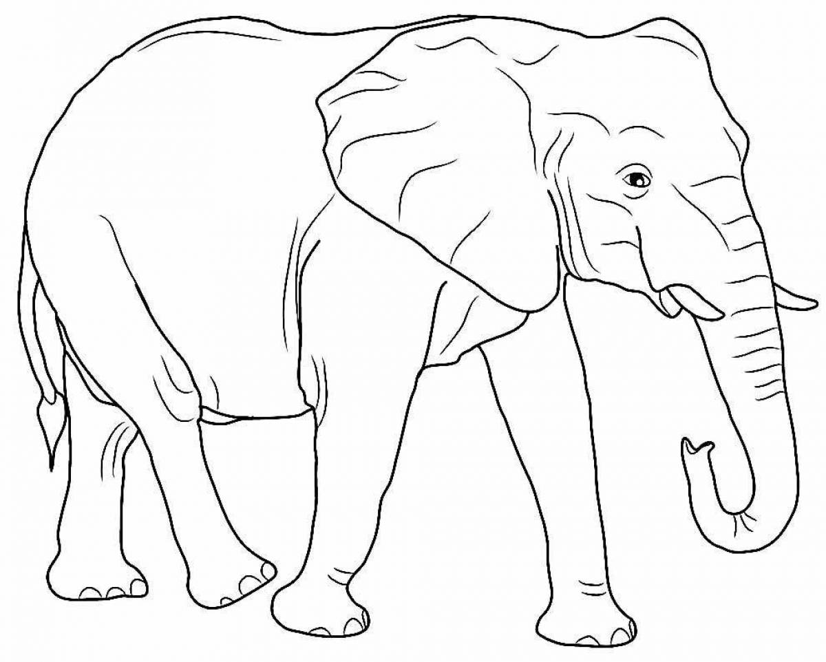 Раскраска африканского слона с яркими оттенками