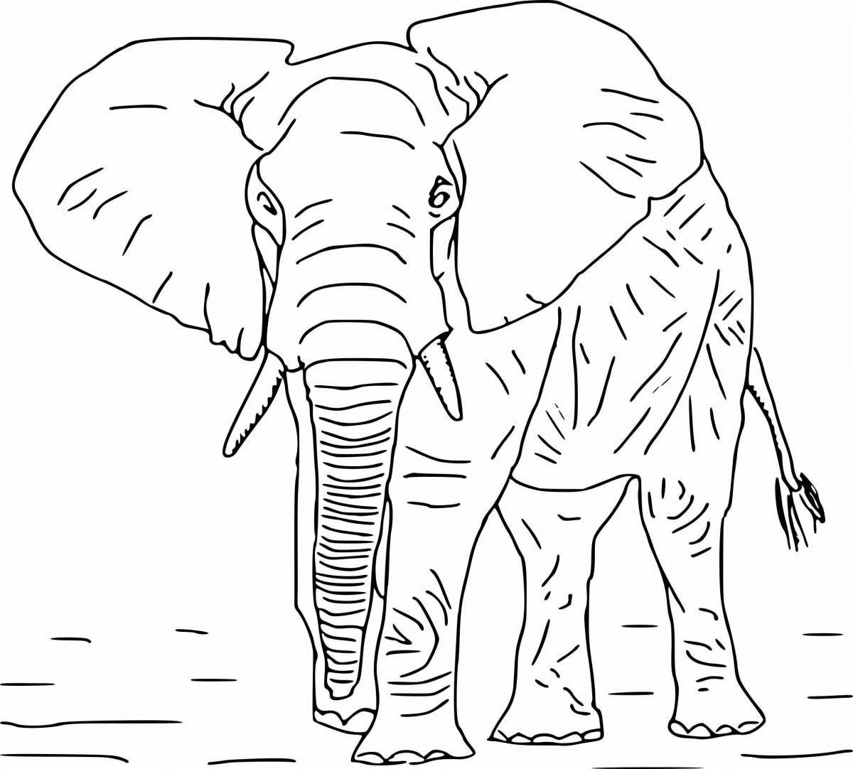 Colorfully detailed African elephant coloring page