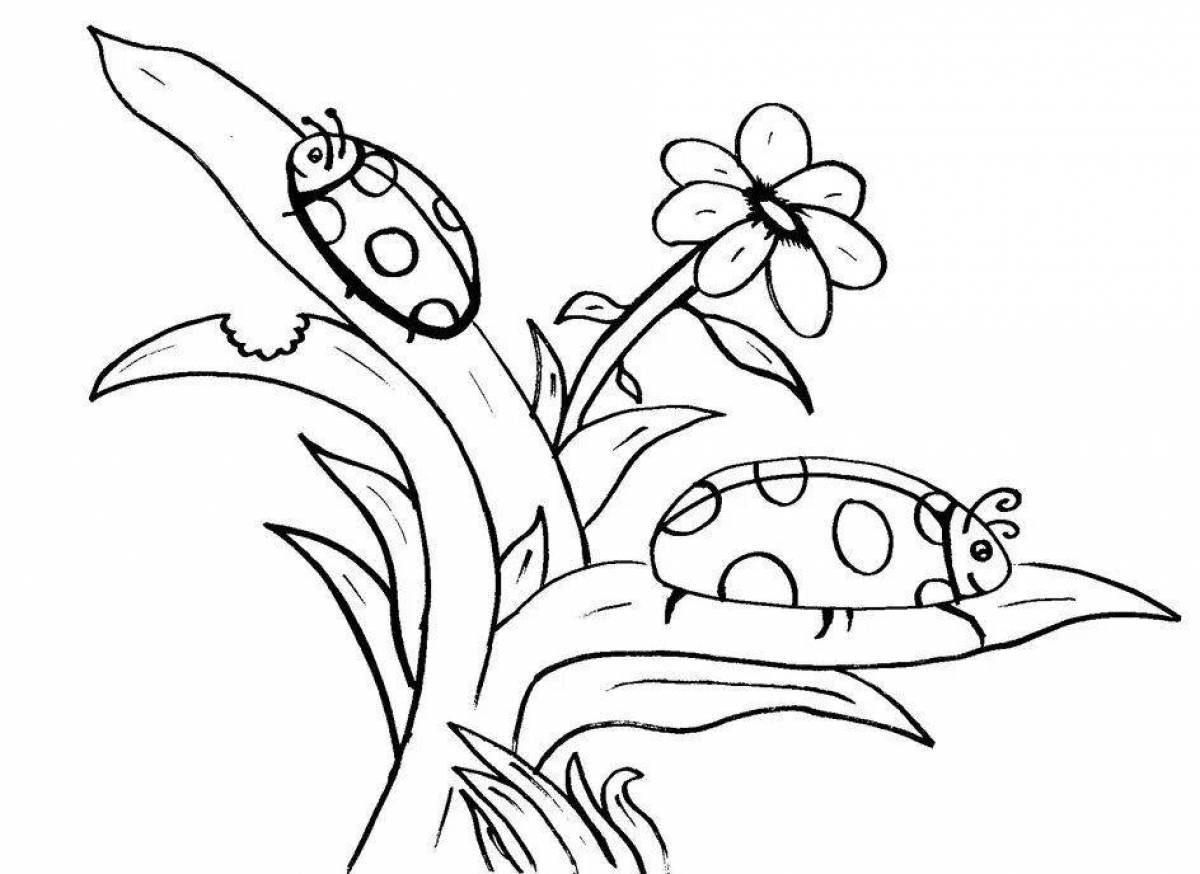 Exquisite nature coloring book for girls