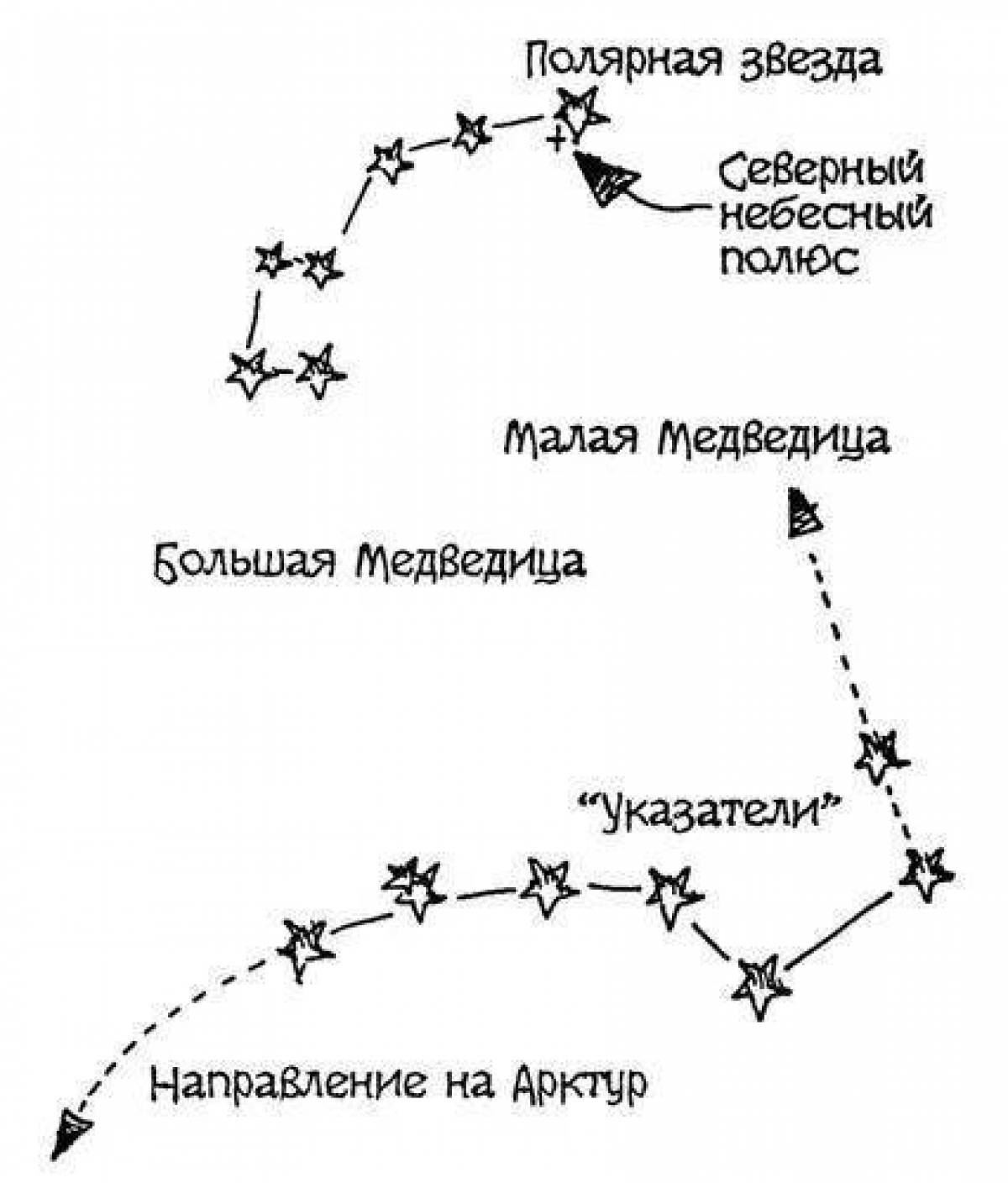 Рисунок большой и малой медведицы